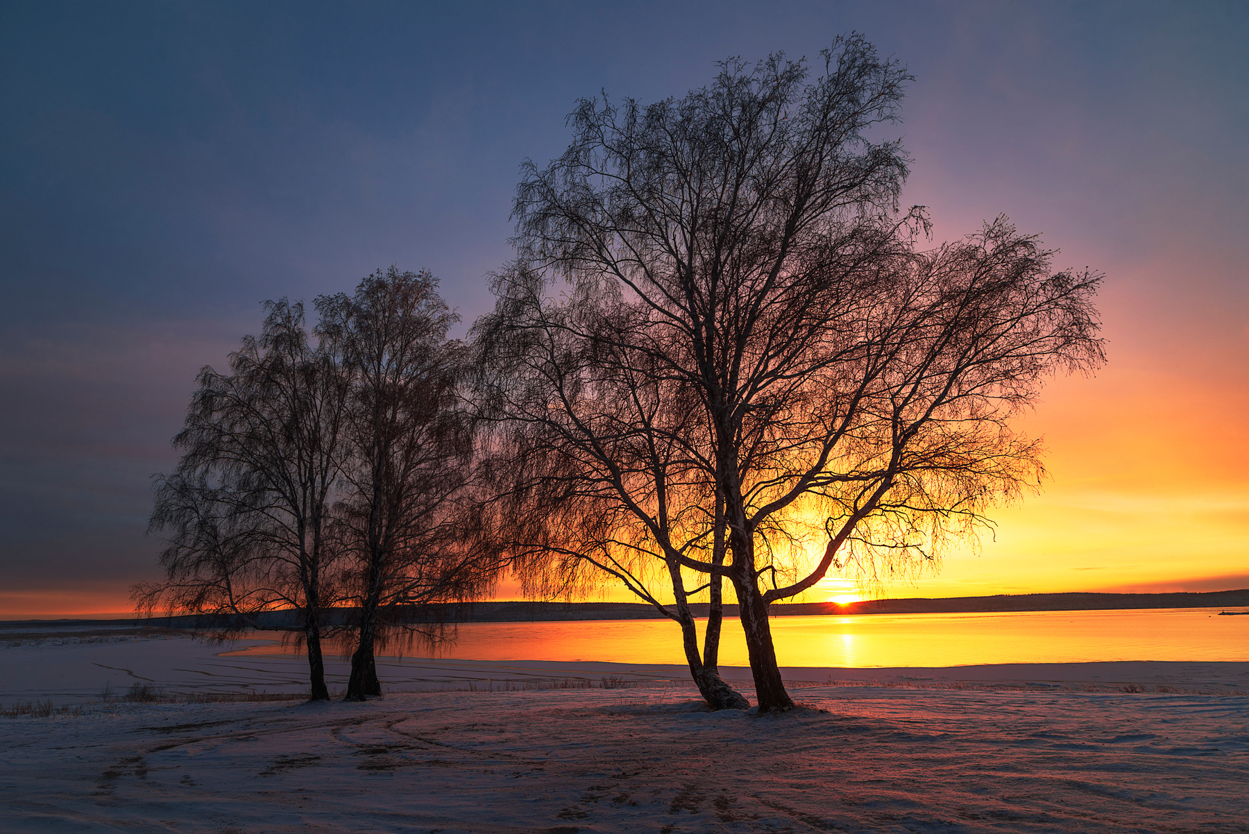 *** закат березы берег Байкал снег лед вода вечер солнце облака