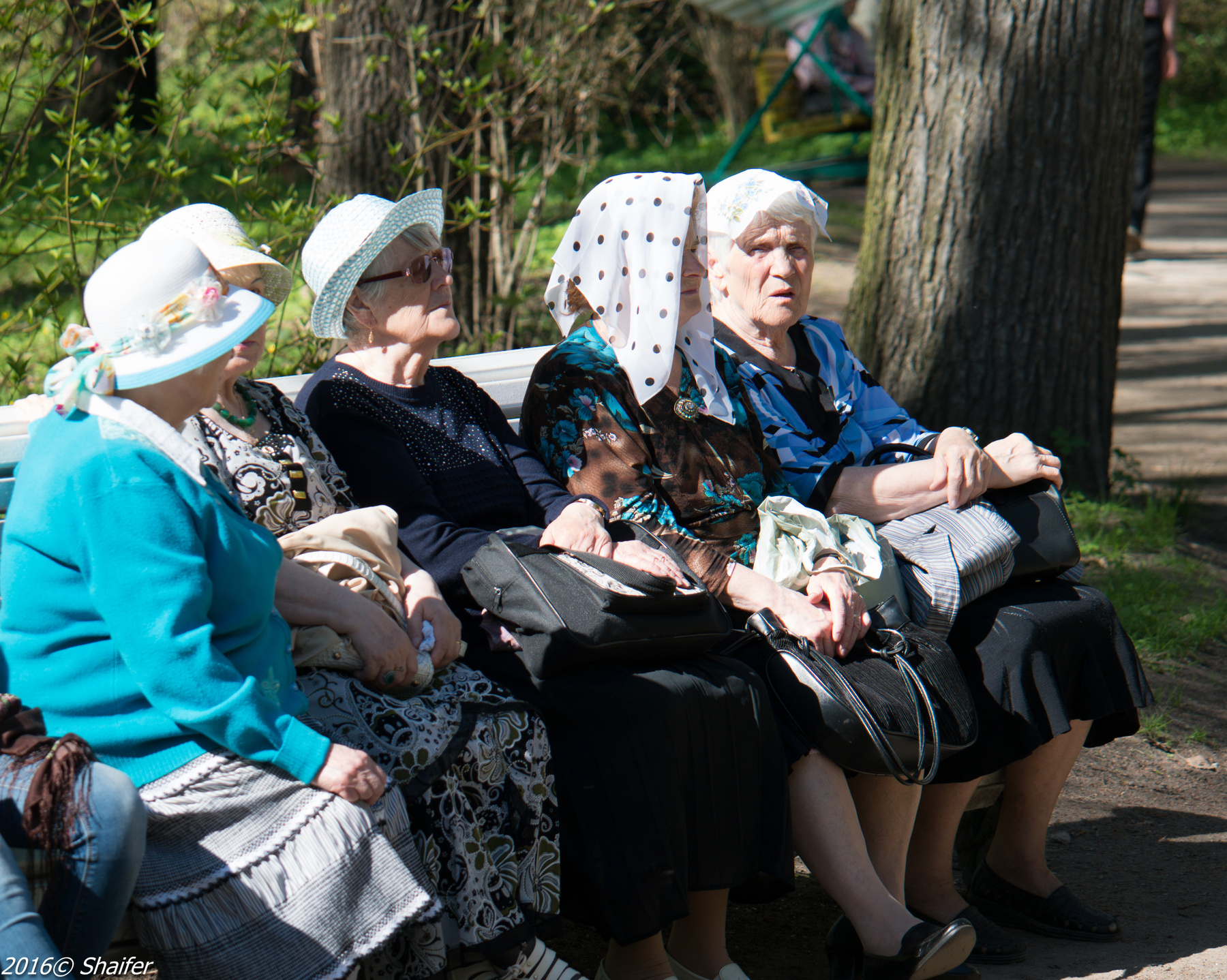петербуржские бабушки Петербург Елагин остров 9 мая