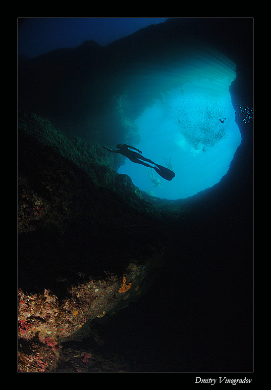 В свободном полете. Виноградов, Мальта, Blue Hole, дайвинг, подводное фото