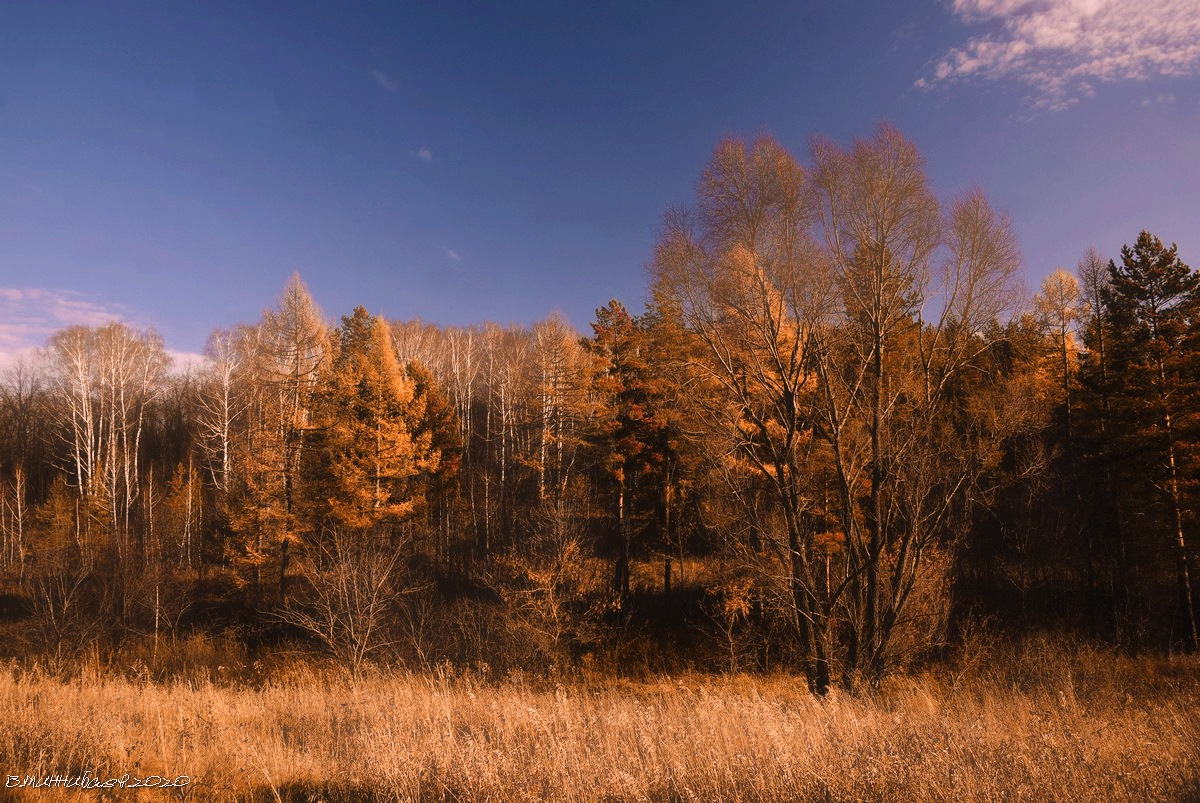 Осенний пейзаж пейзаж природа осень лес