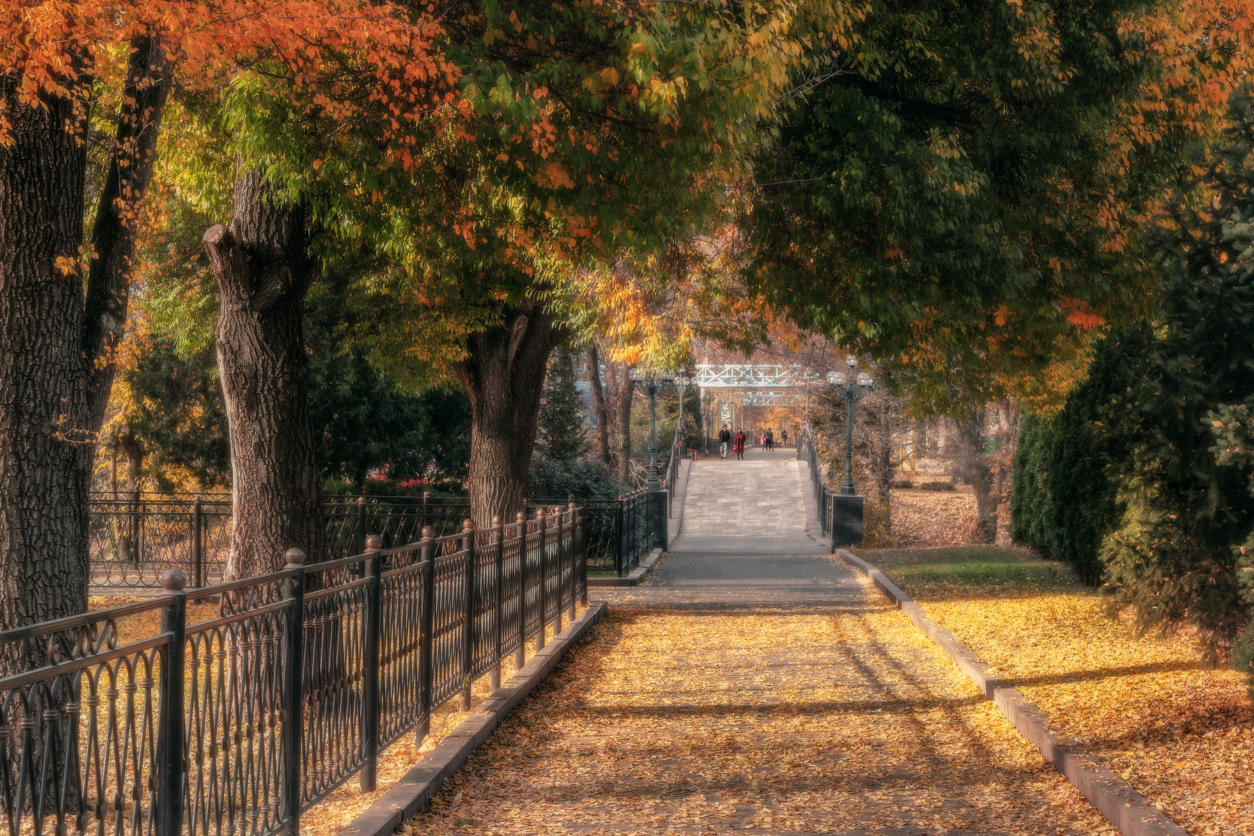 Осенняя прогулка. парк солнце аллея вечер осень город свет цвет деревья листья
