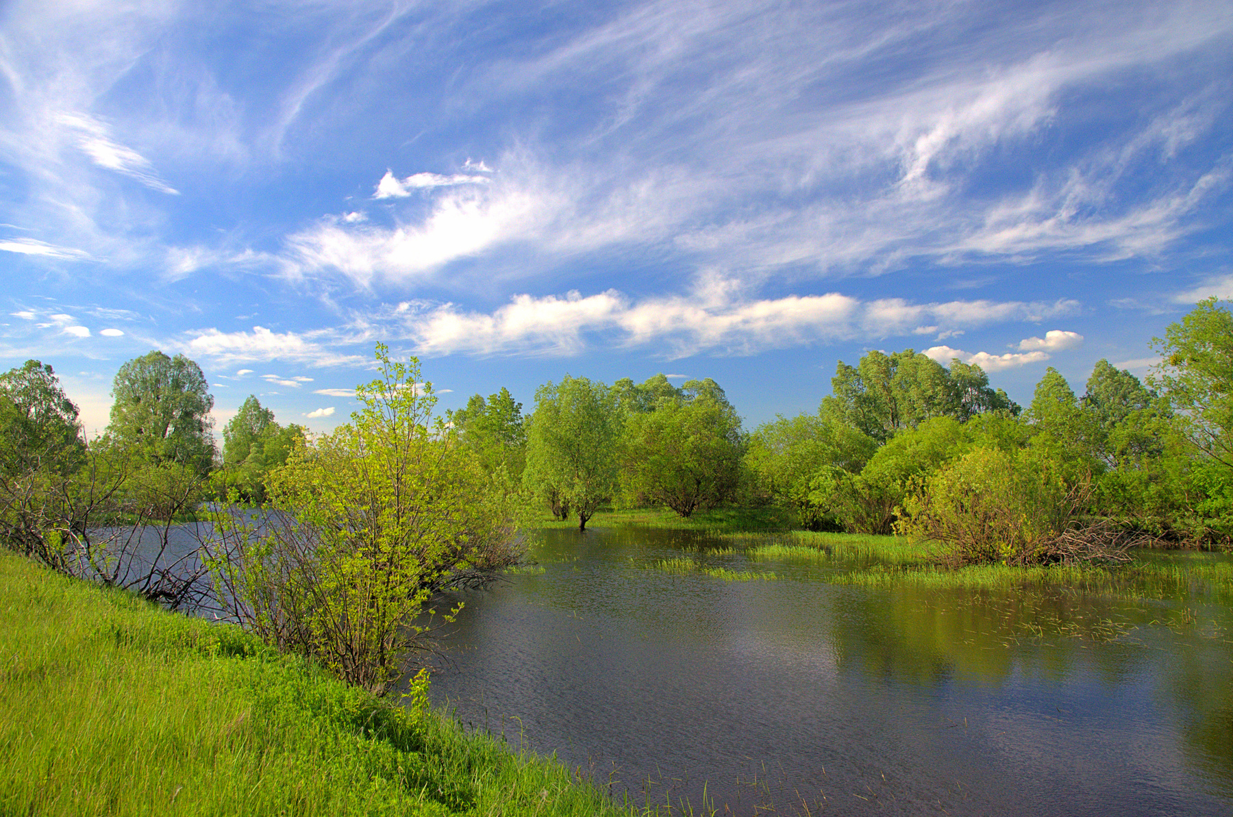 *** весна река озеро деревья облака HDR вода