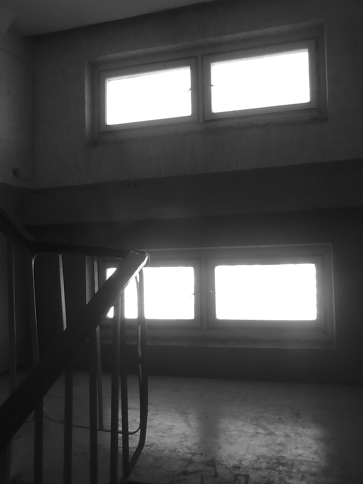 На лестнице лестница черно белое дом