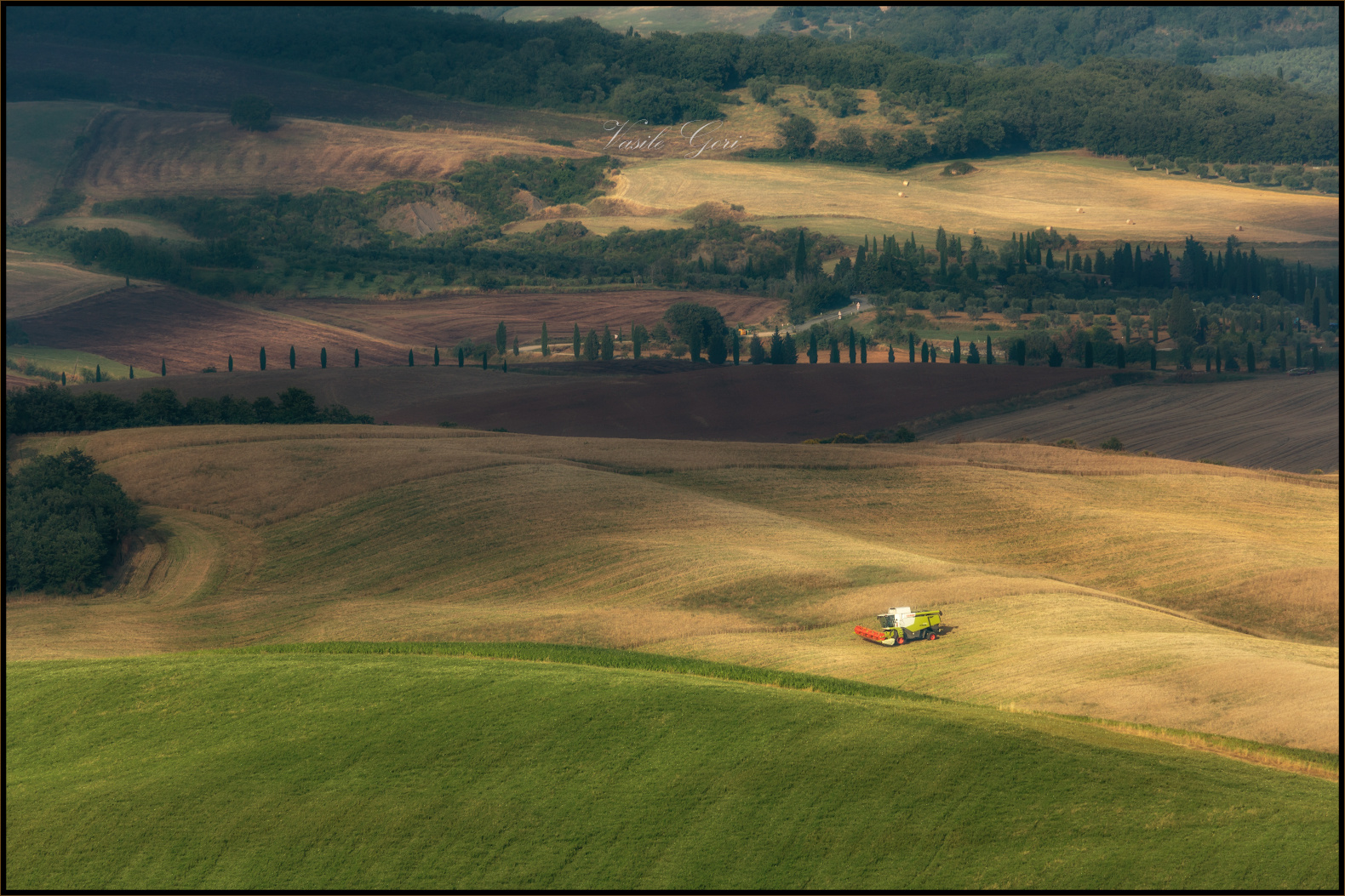 Урожай не ждёт san quirico d'orcia пшеница италия тоскана лето tuscany cipressi комбайн страда