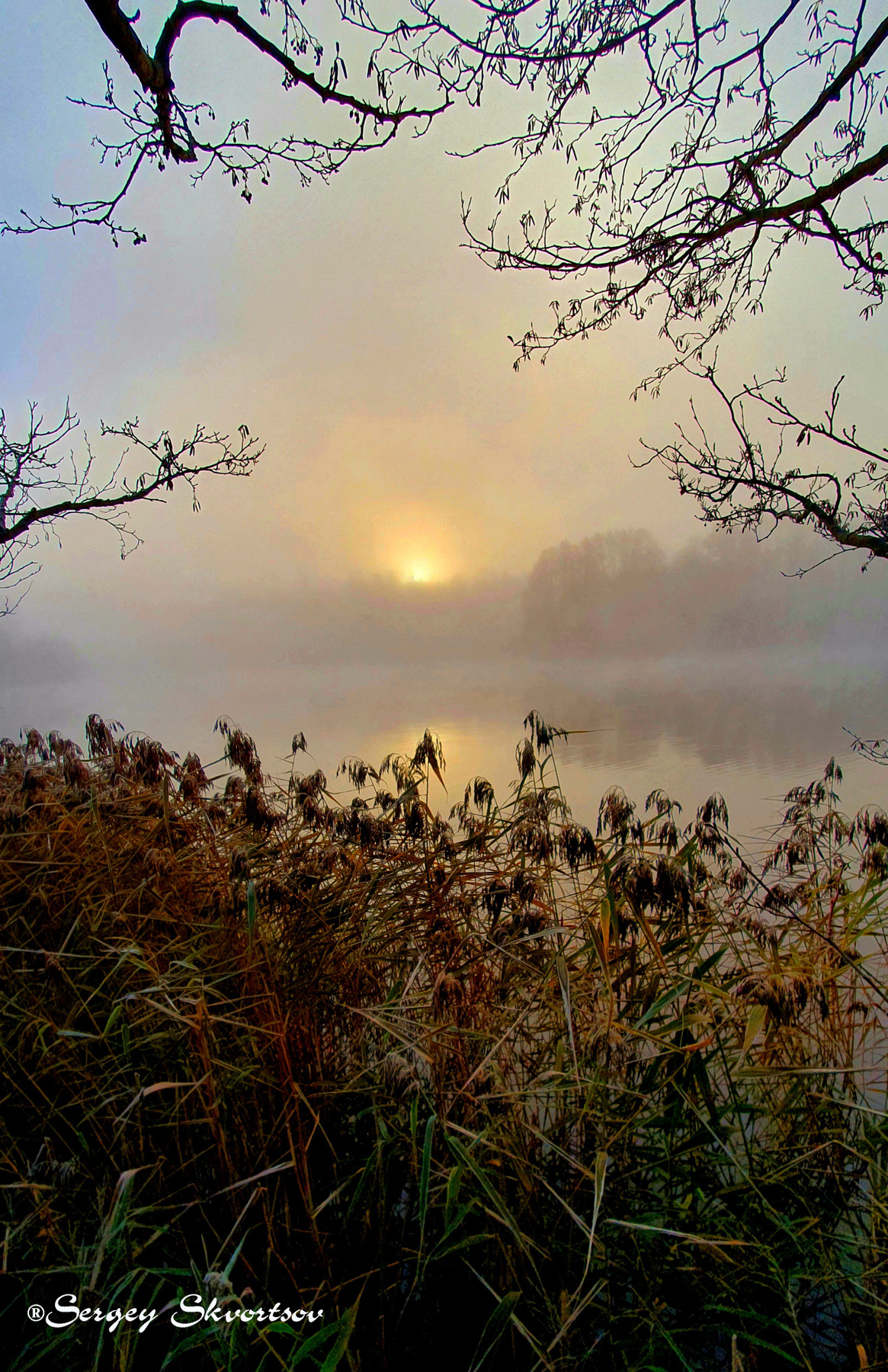 Осеннее утро Осень туман озеро восход солнца