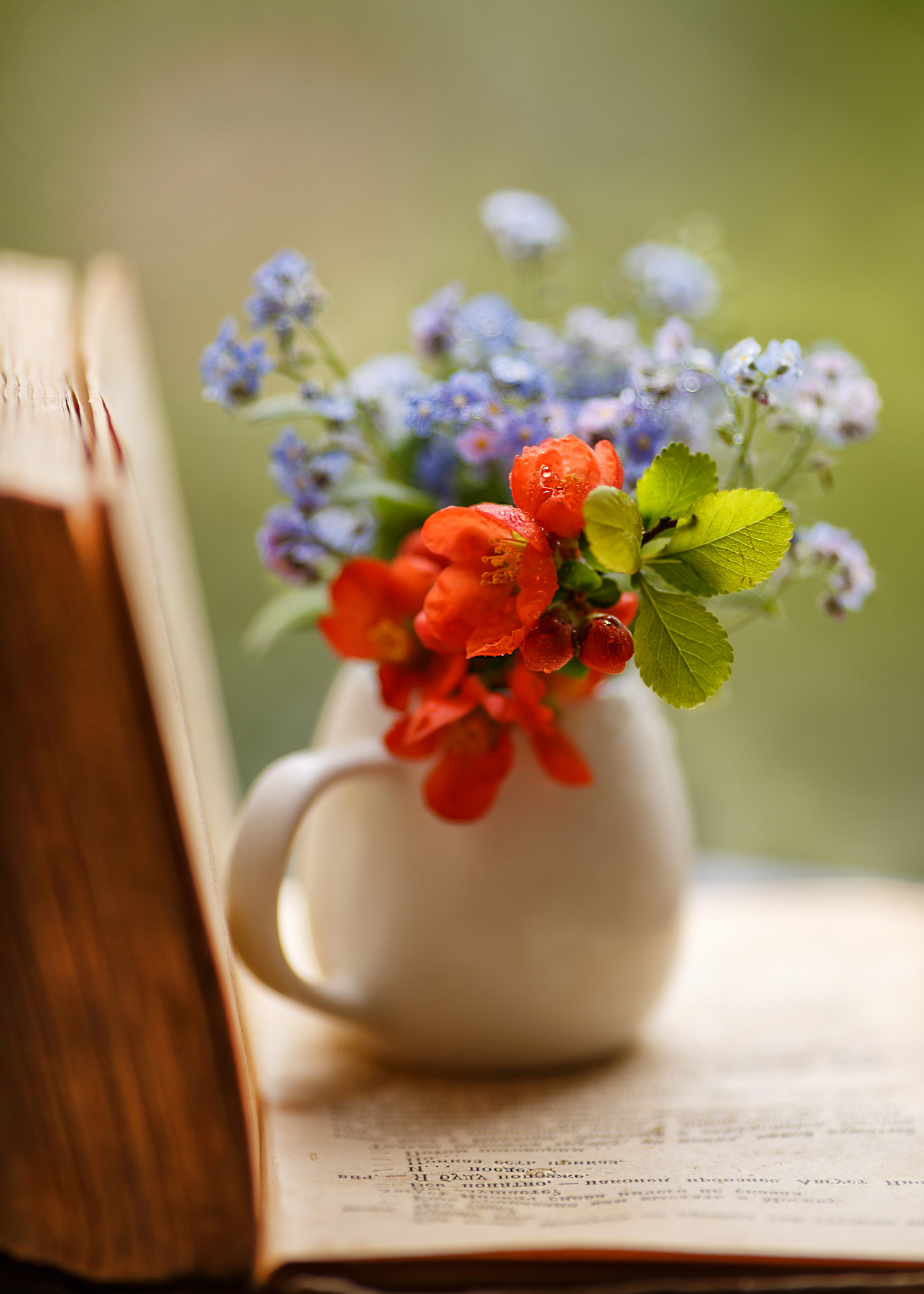 поэзия весны любовь весна цвет книга