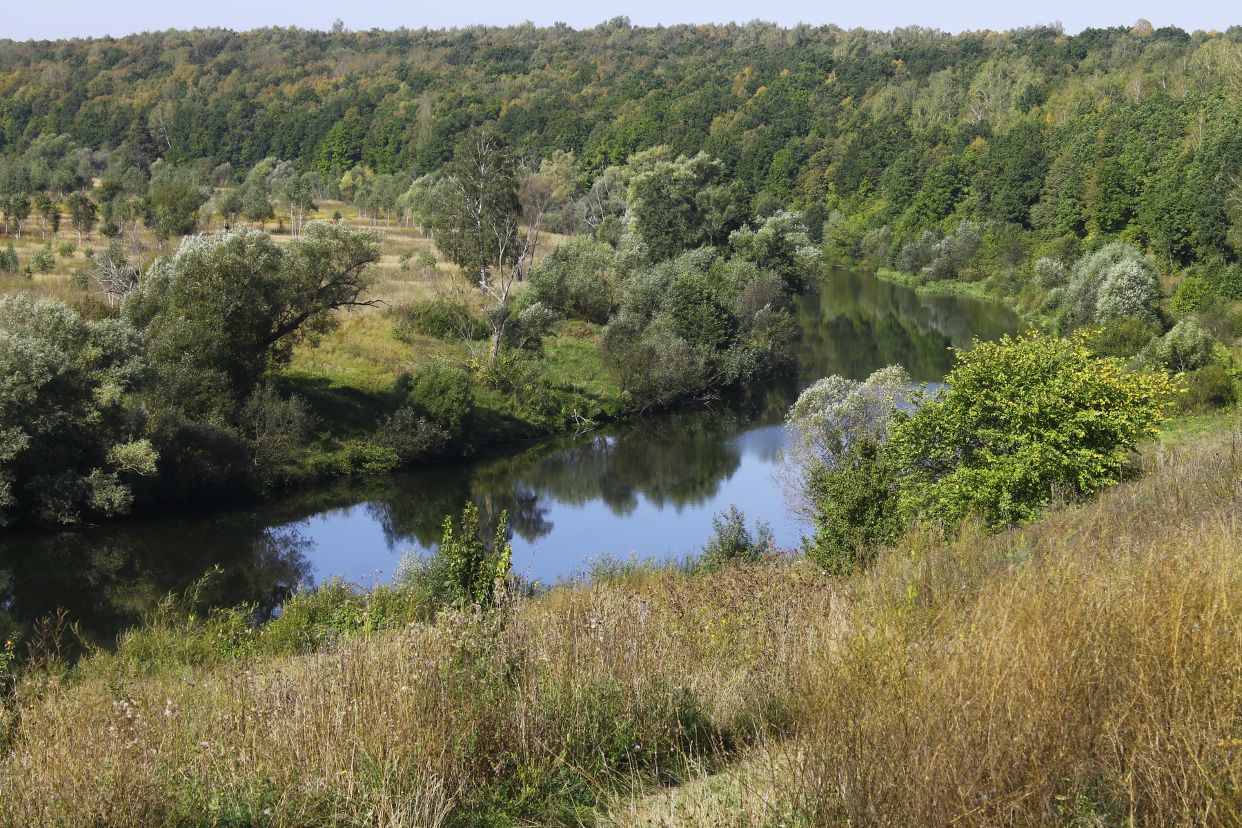 река Осётр в Зарайском районе (Московская область) Зарайск Осётр Подмосковье