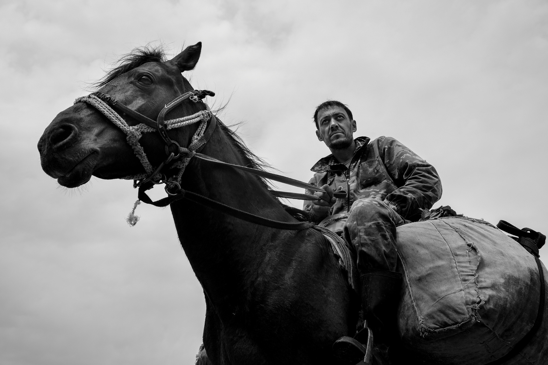 Всадник Кумушкана Конь всадник черно-белая фотография жанровая