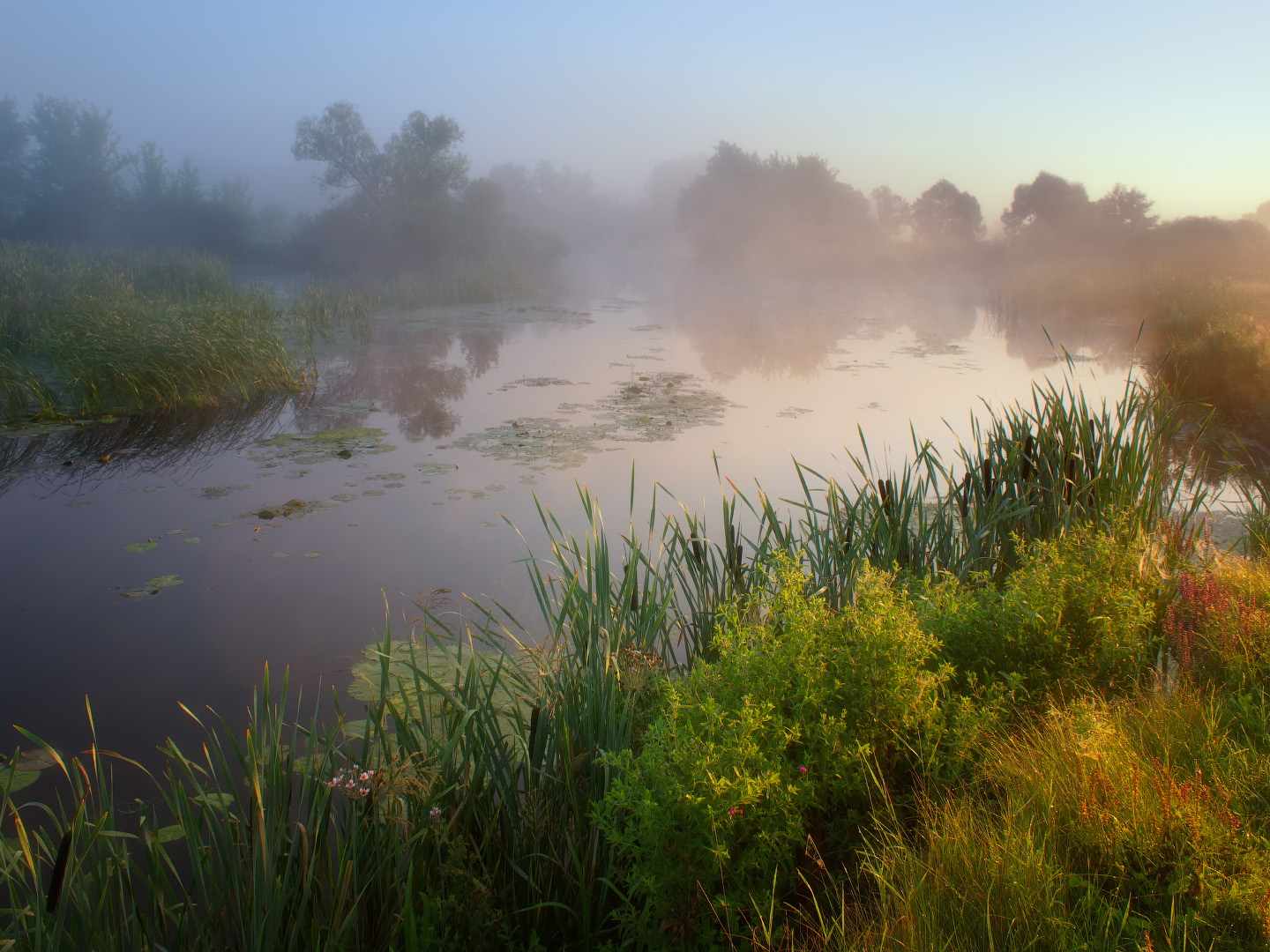 Раннее утро пейзаж природа туман река волчья