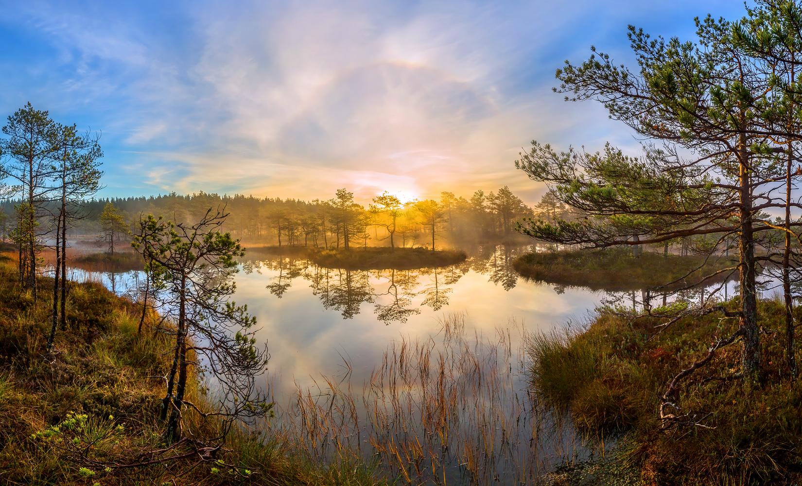 Лёгкость чистого утра фототур Ленинградская область деревья сосна болото рассвет осень гало туман остров отражение покой