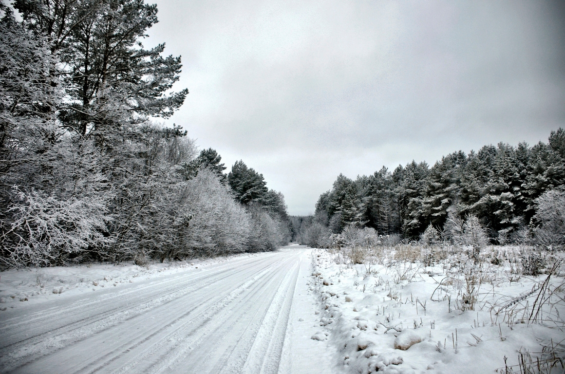 Лесная дорога зима дорога лес