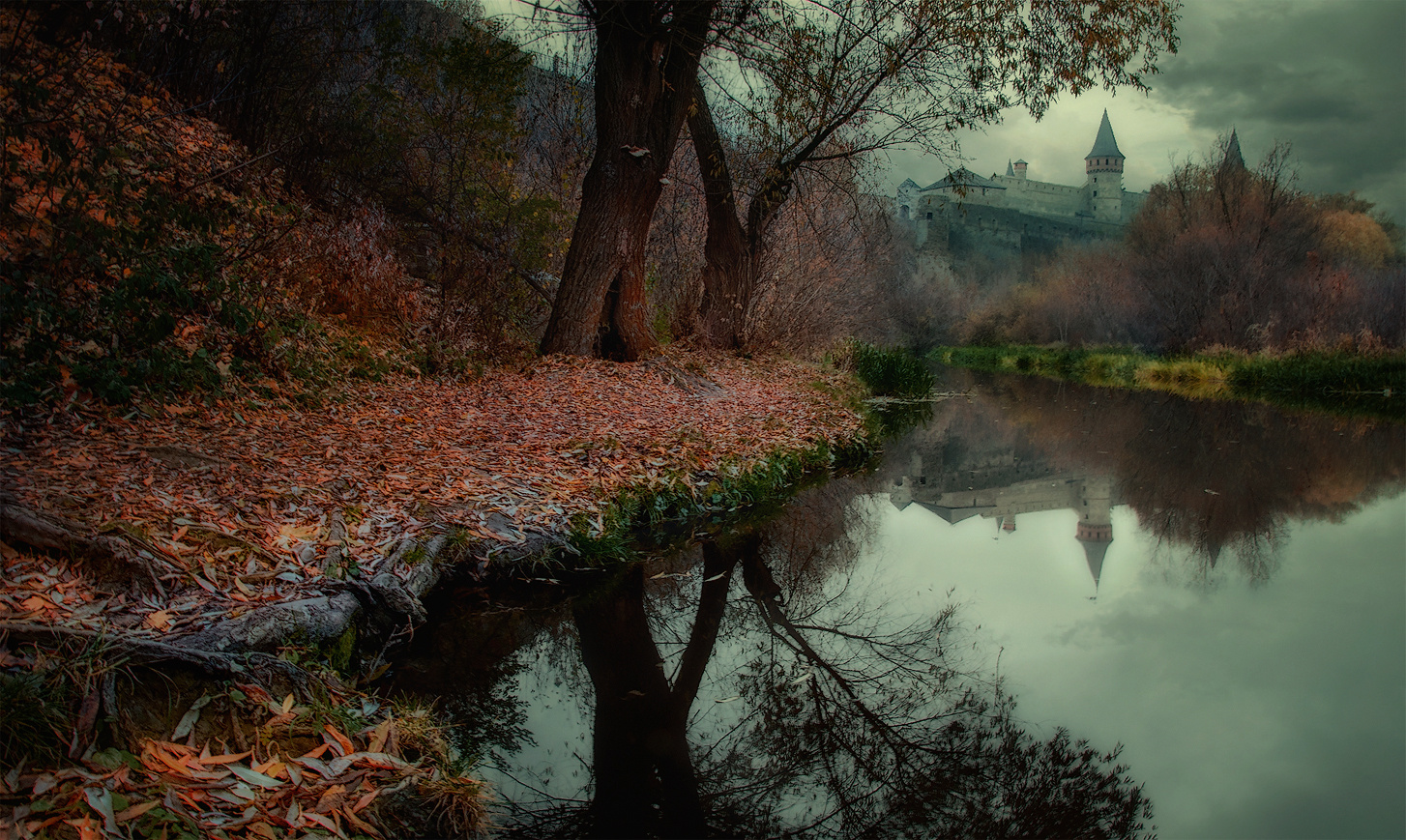мрачный вечер на реке Смотрич река Смотрич Каменец-Подольский Украна вечер дерево листья осень отражение замок