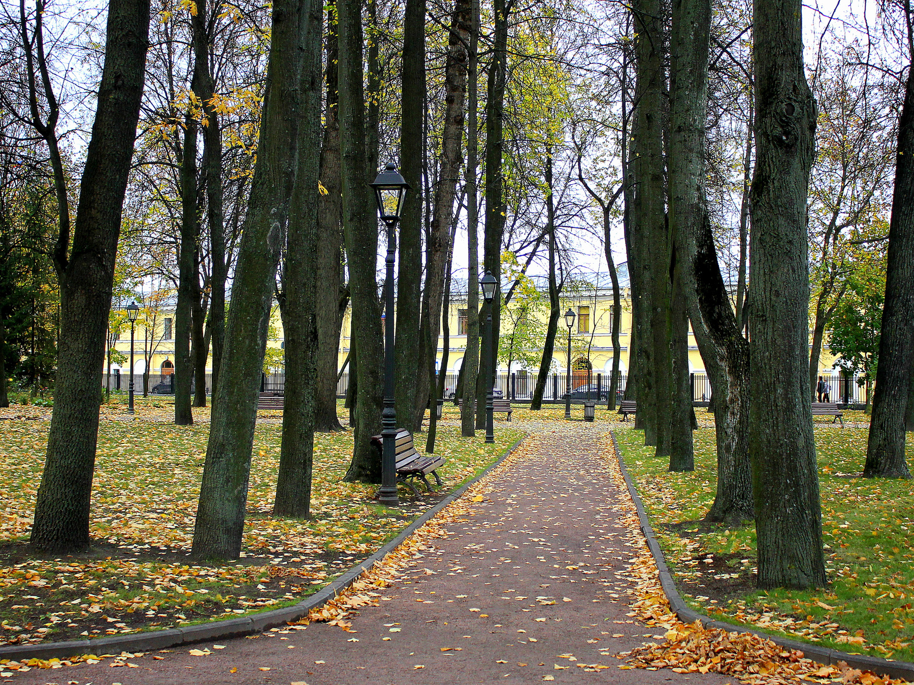 Парк парк осень листья