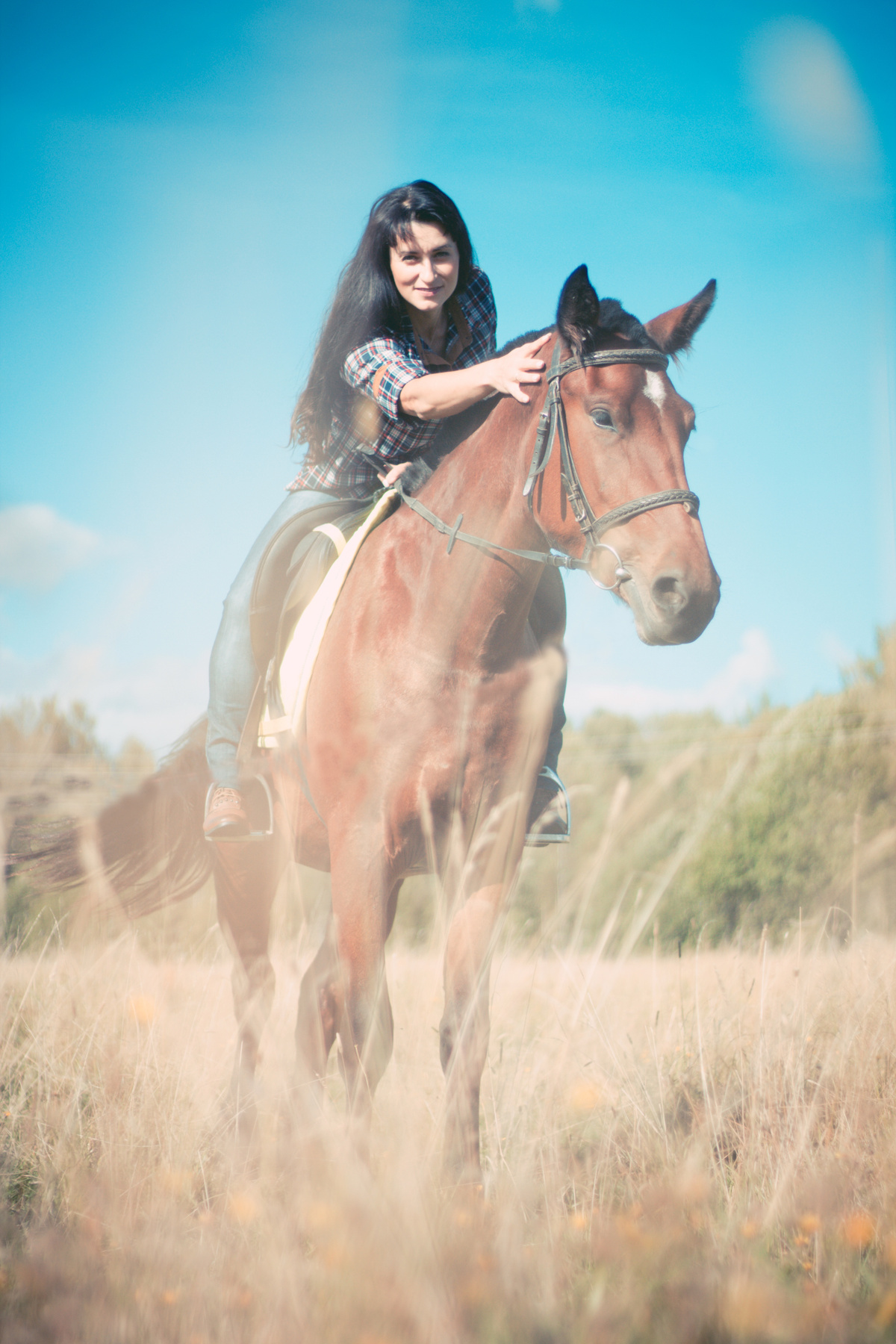 Верхом на мечте лошадь на коне конь девушка красотка