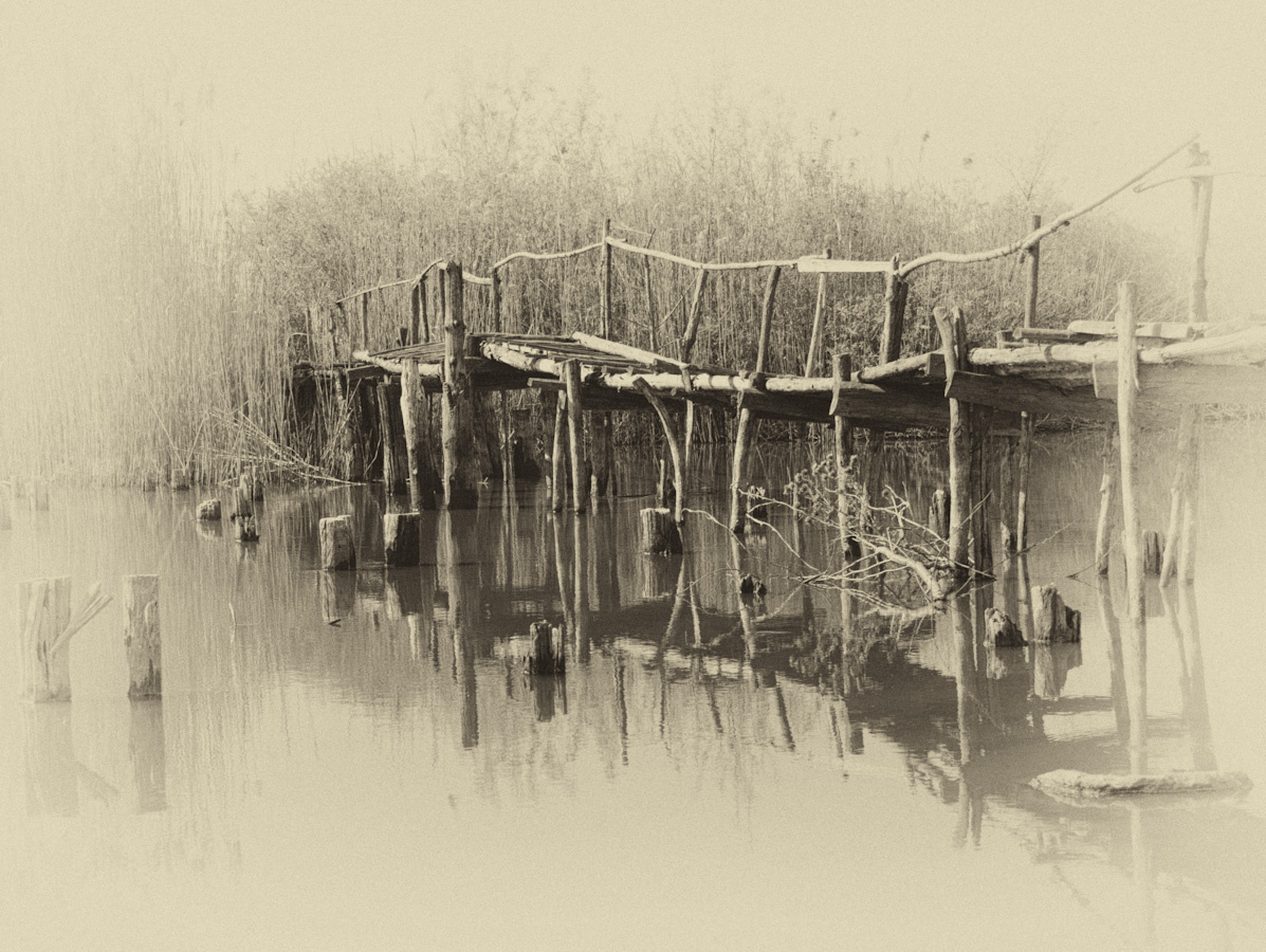 *** природа пейзаж фотопленер мост черно белое фото