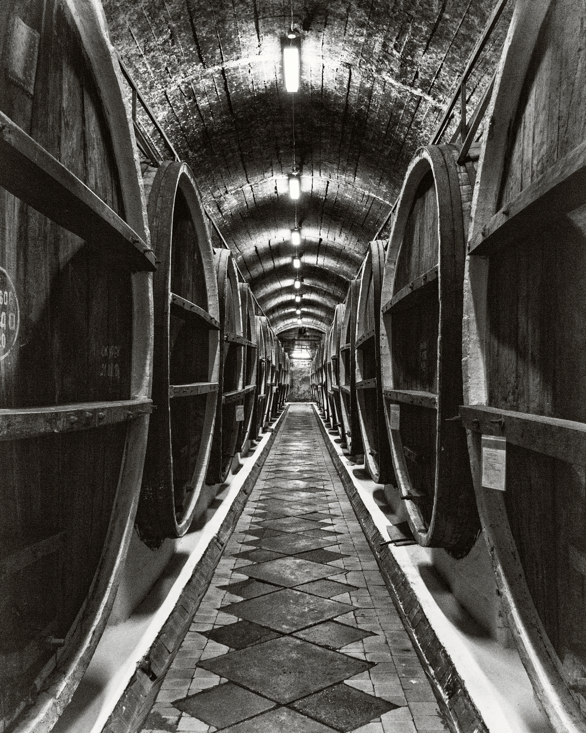 Wine cellars 
