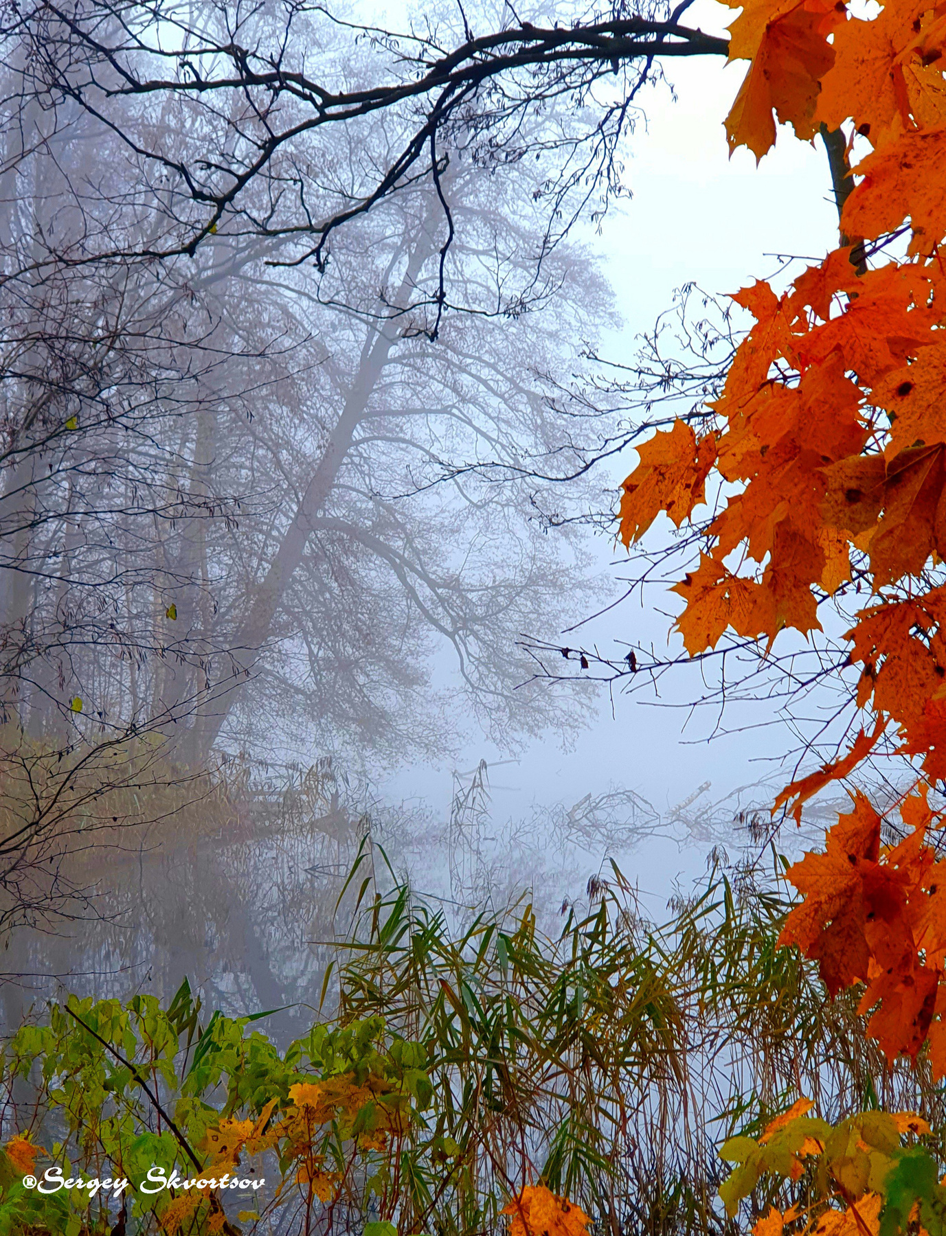 Краски осени Осень туман озеро красные листья дымка