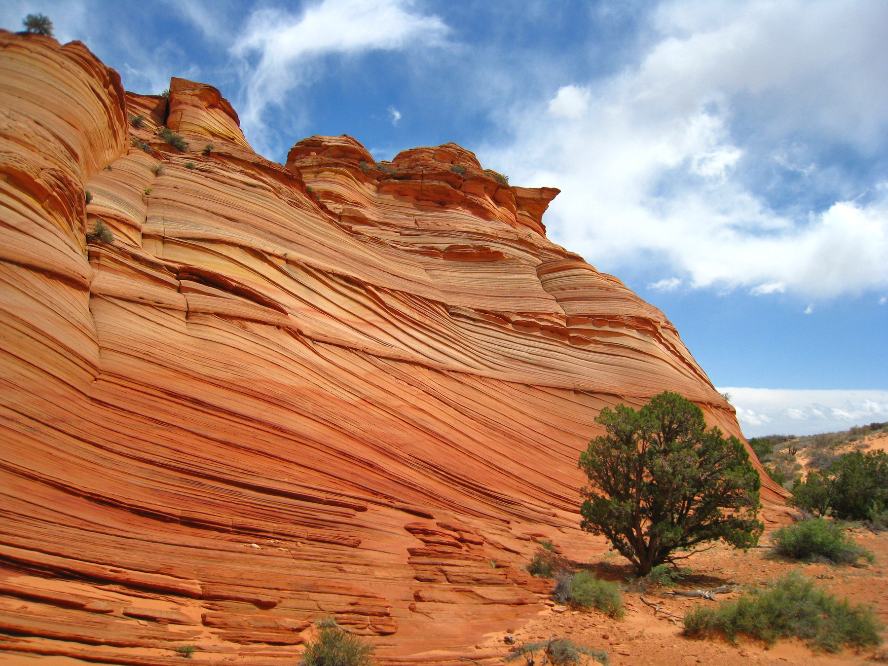 В американской Аризоне. америка пейзаж скалы