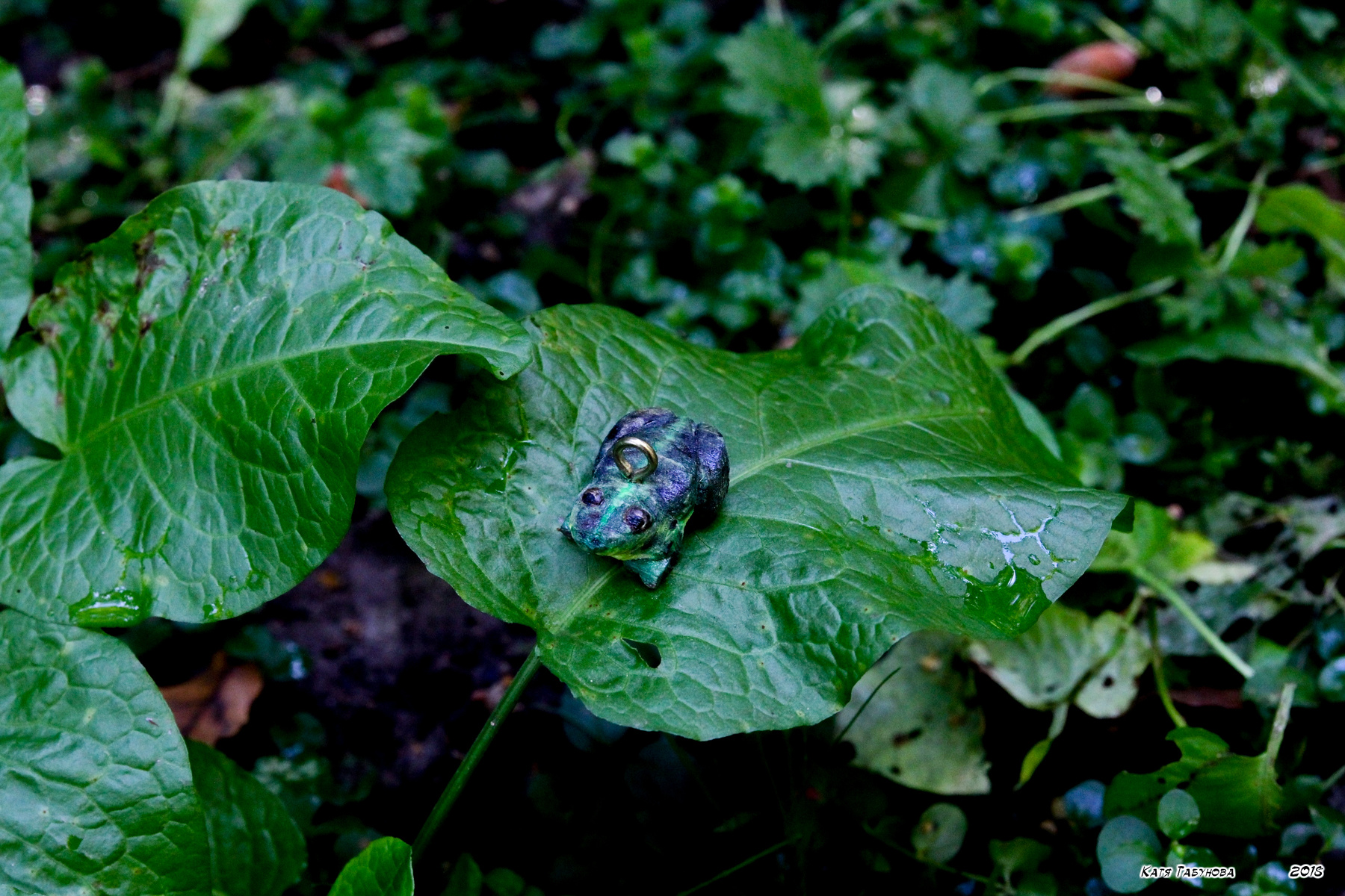 "Ква!" лягушка миниатюра все зеленое