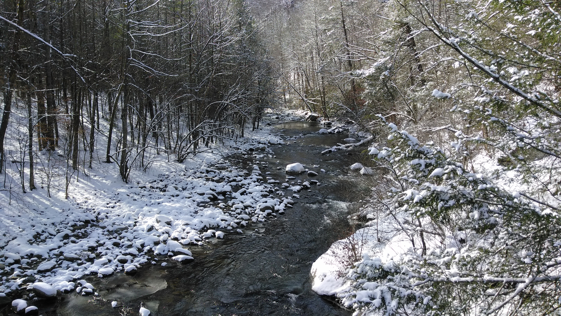 Горная река. река зима горная Теннесси природа