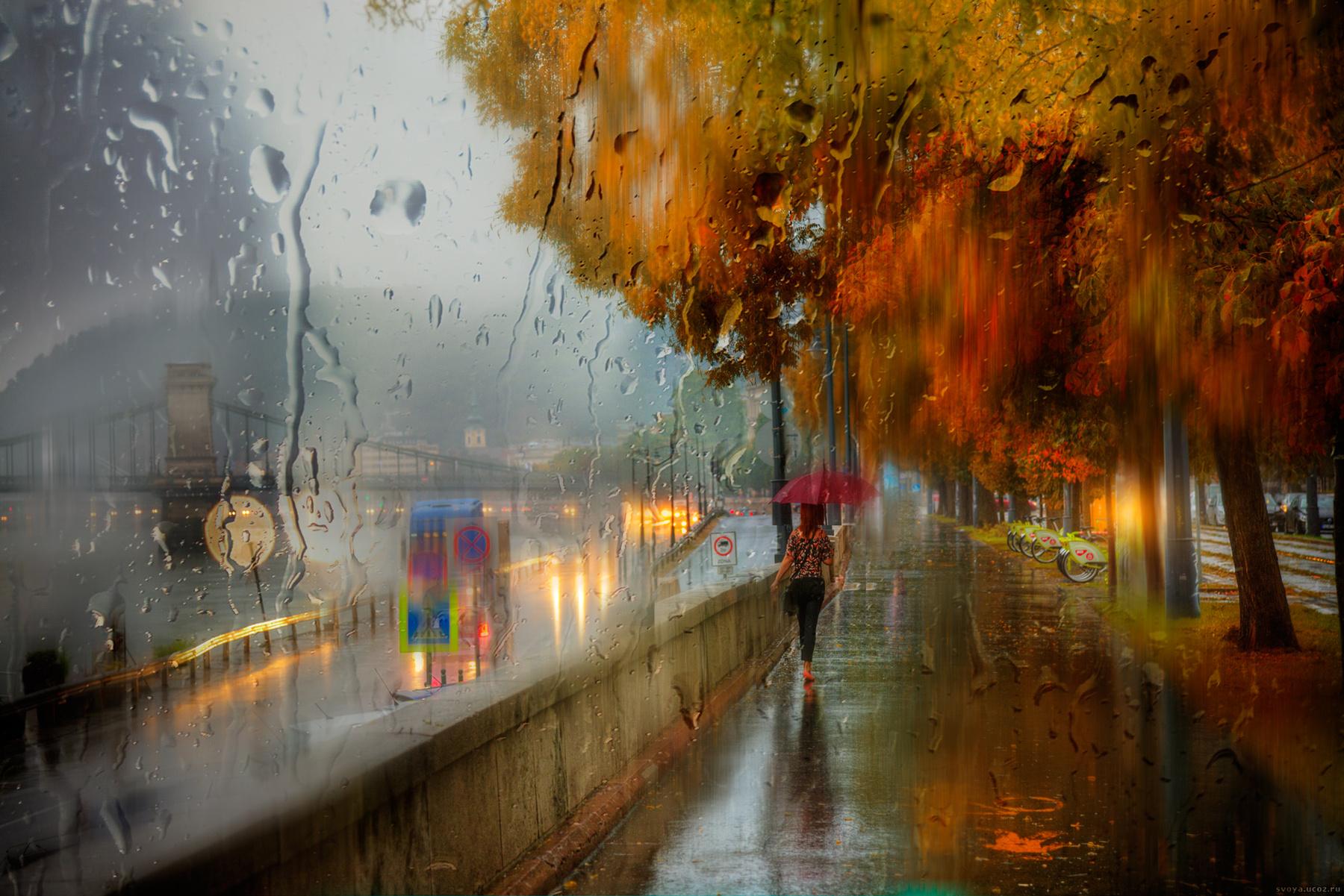 дождь в Будапеште... 