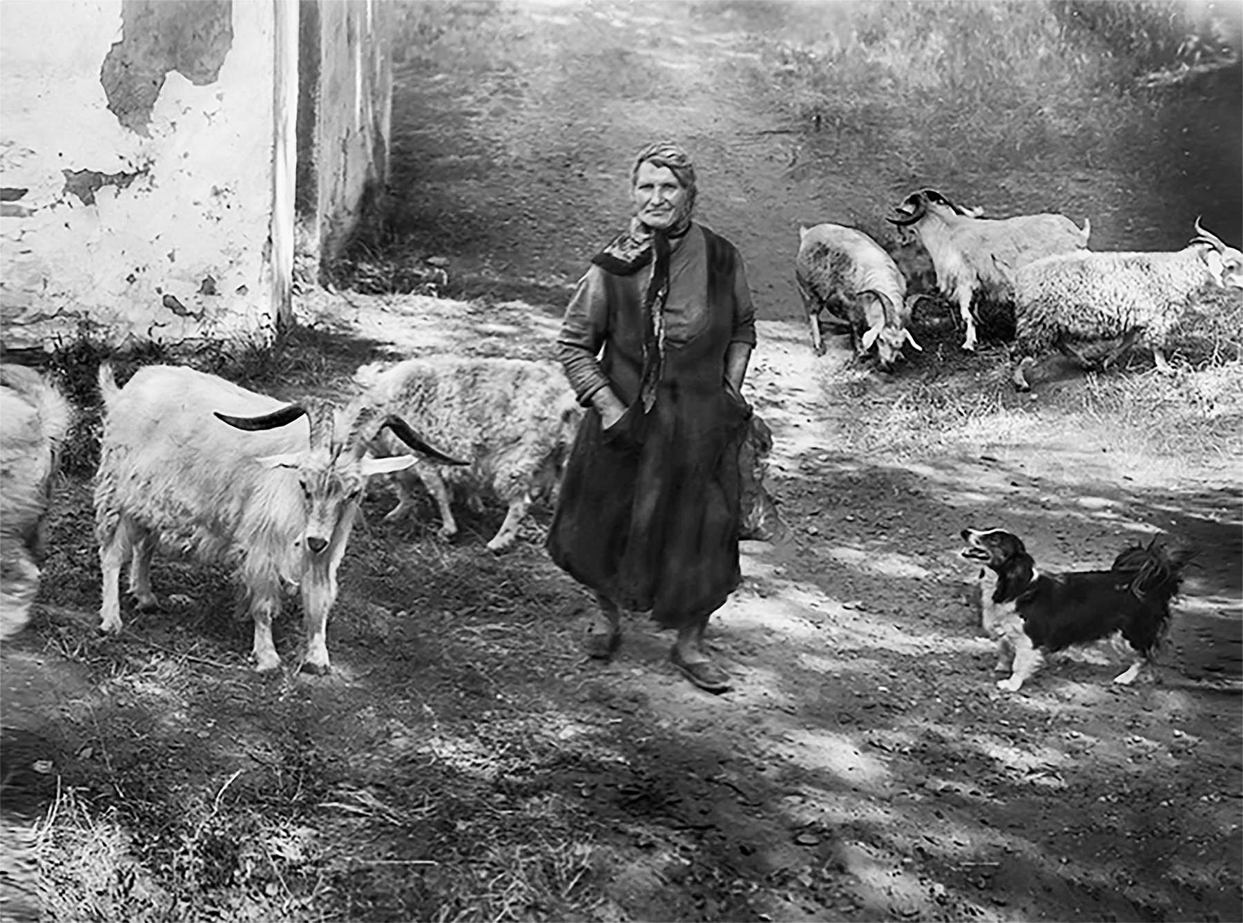 Пастушка 80-е годы историческая фотография козы пастушка фотопленка