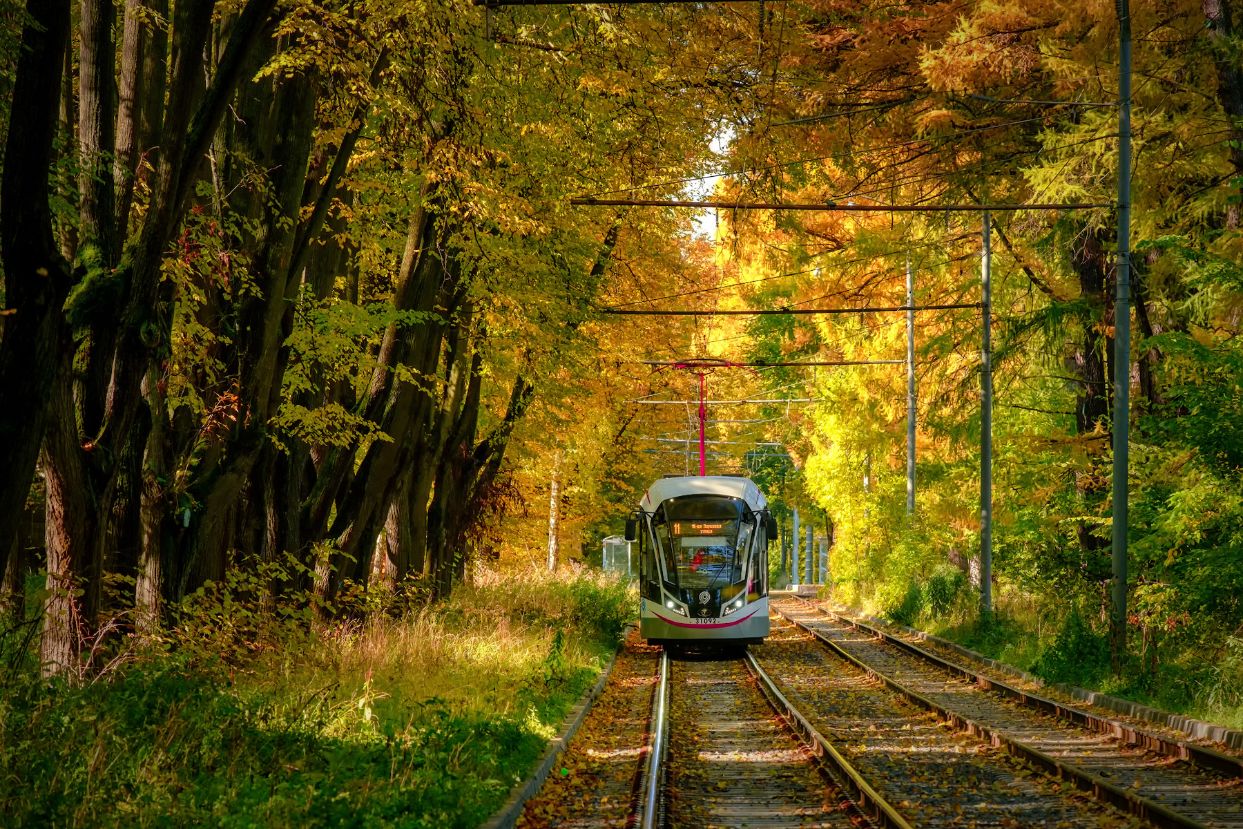 Осенний трамвай трамвай рельсы осень деревья листва желтый красный