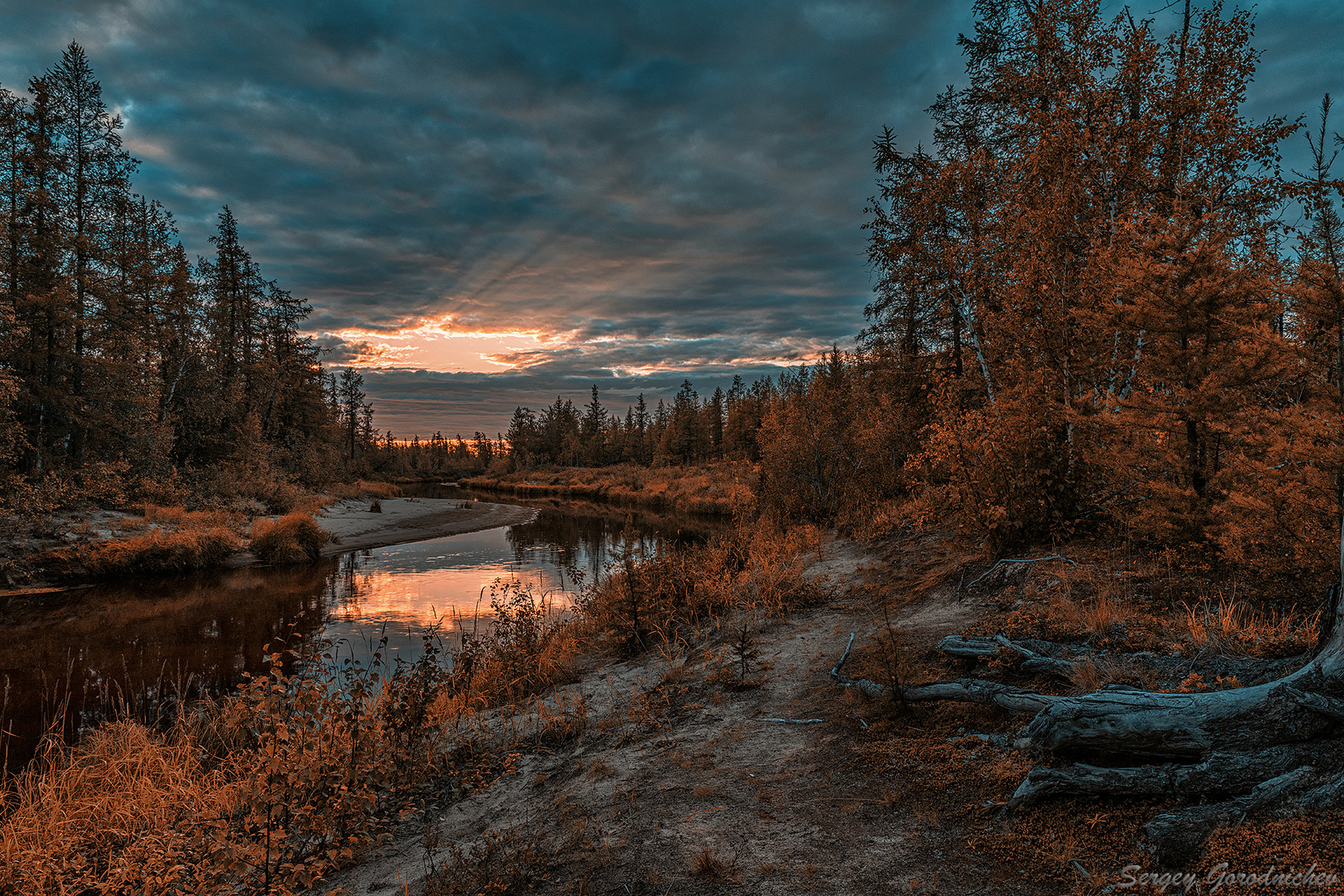 Закат над рекой лес река заполярье ЯНАО Россия пейзаж природа