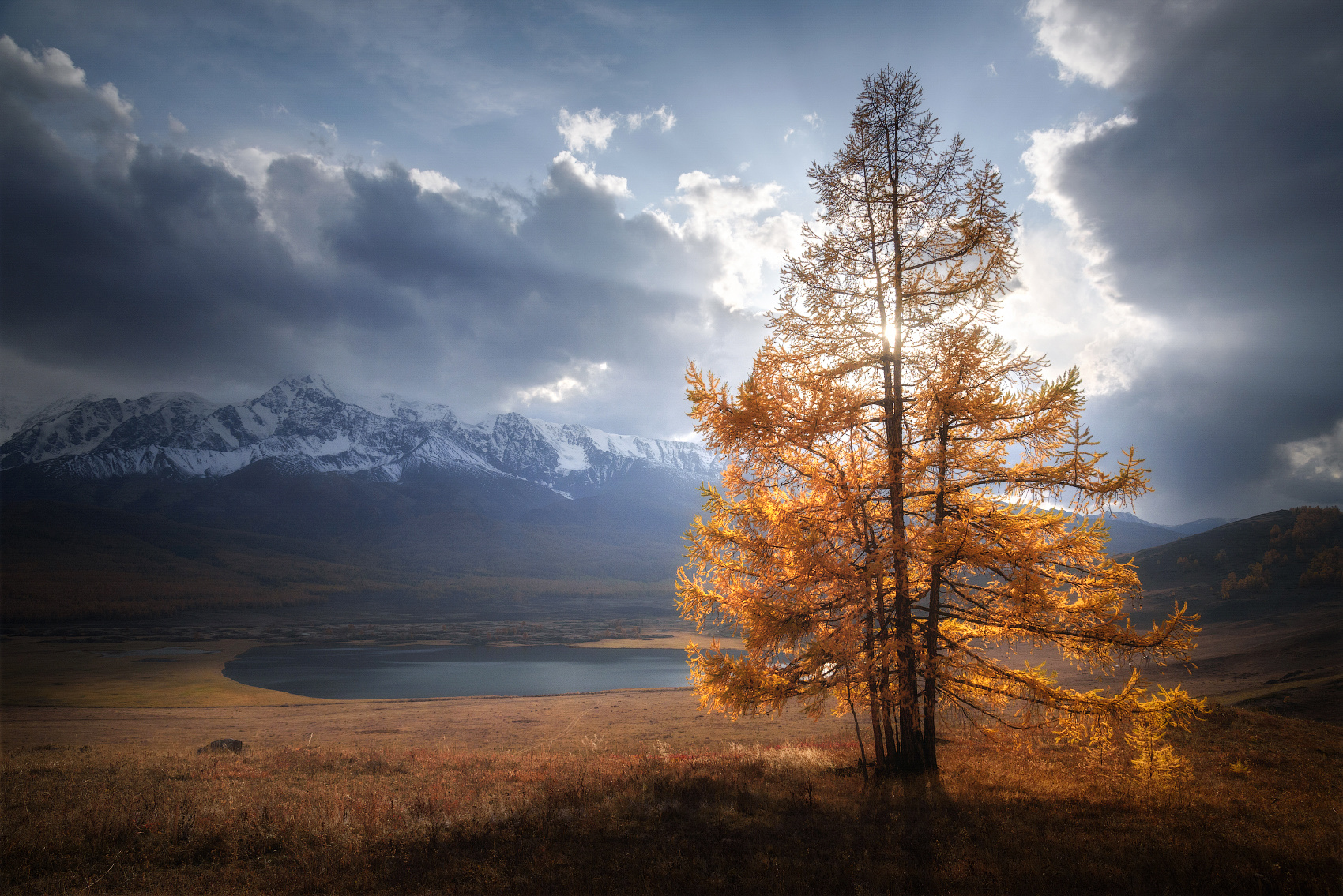 В позолоте алтай горы курайская степь северо-чуйский хребет лиственницы золотая осень сентябрь горный пейзаж ештыкель джангысколь контраст свет