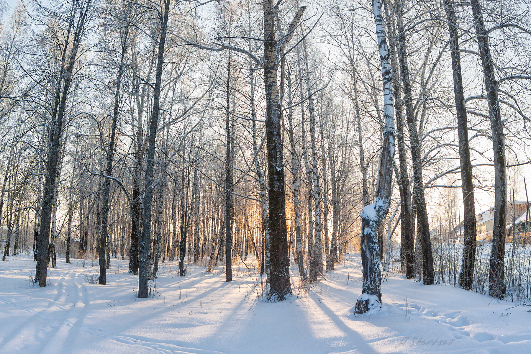 Солнце где-то за лесом зима снег утро парк деревья пейзаж природа Пермский_край Лысьва