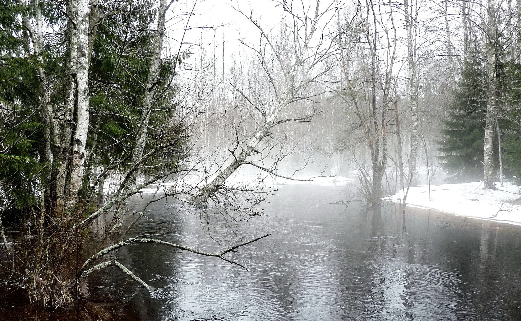 Прогулки у речки Зима лес речка