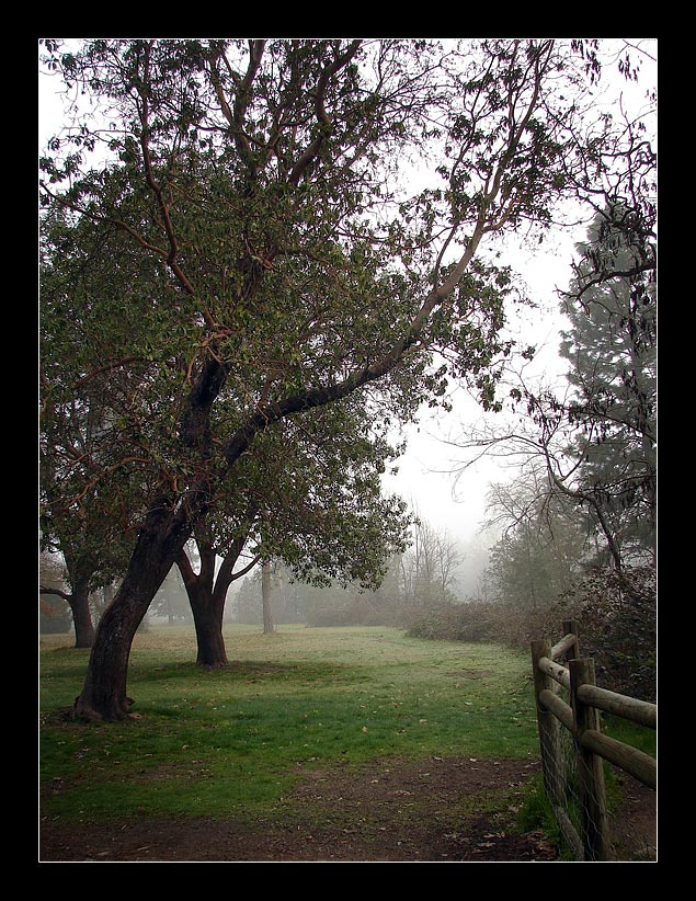 Quiet Place ...