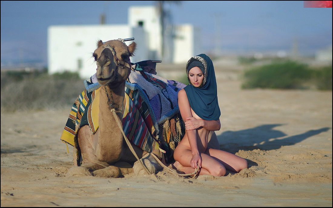 Titanic of the desert © camel