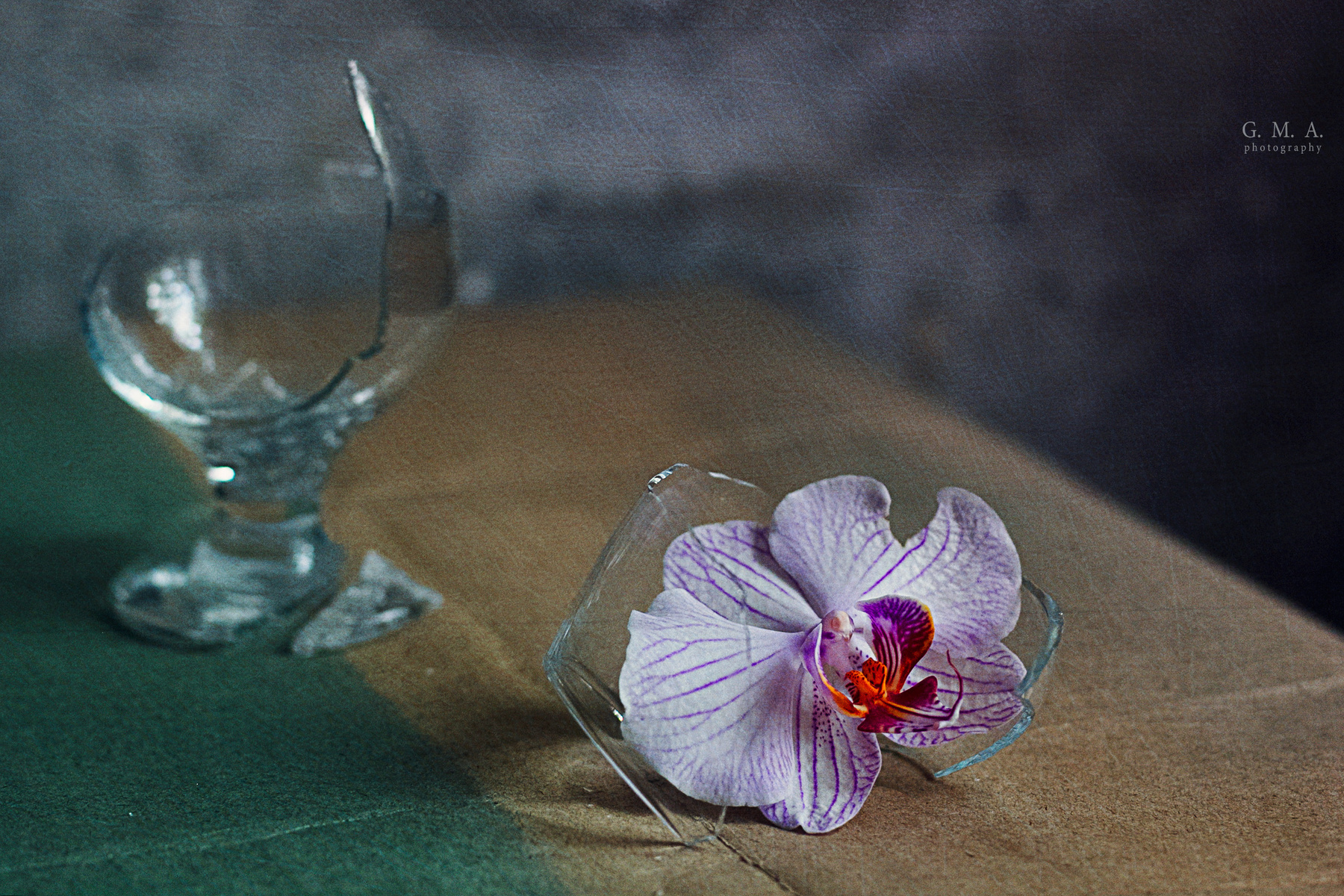 на осколках нежности... орхидея стекло осколки