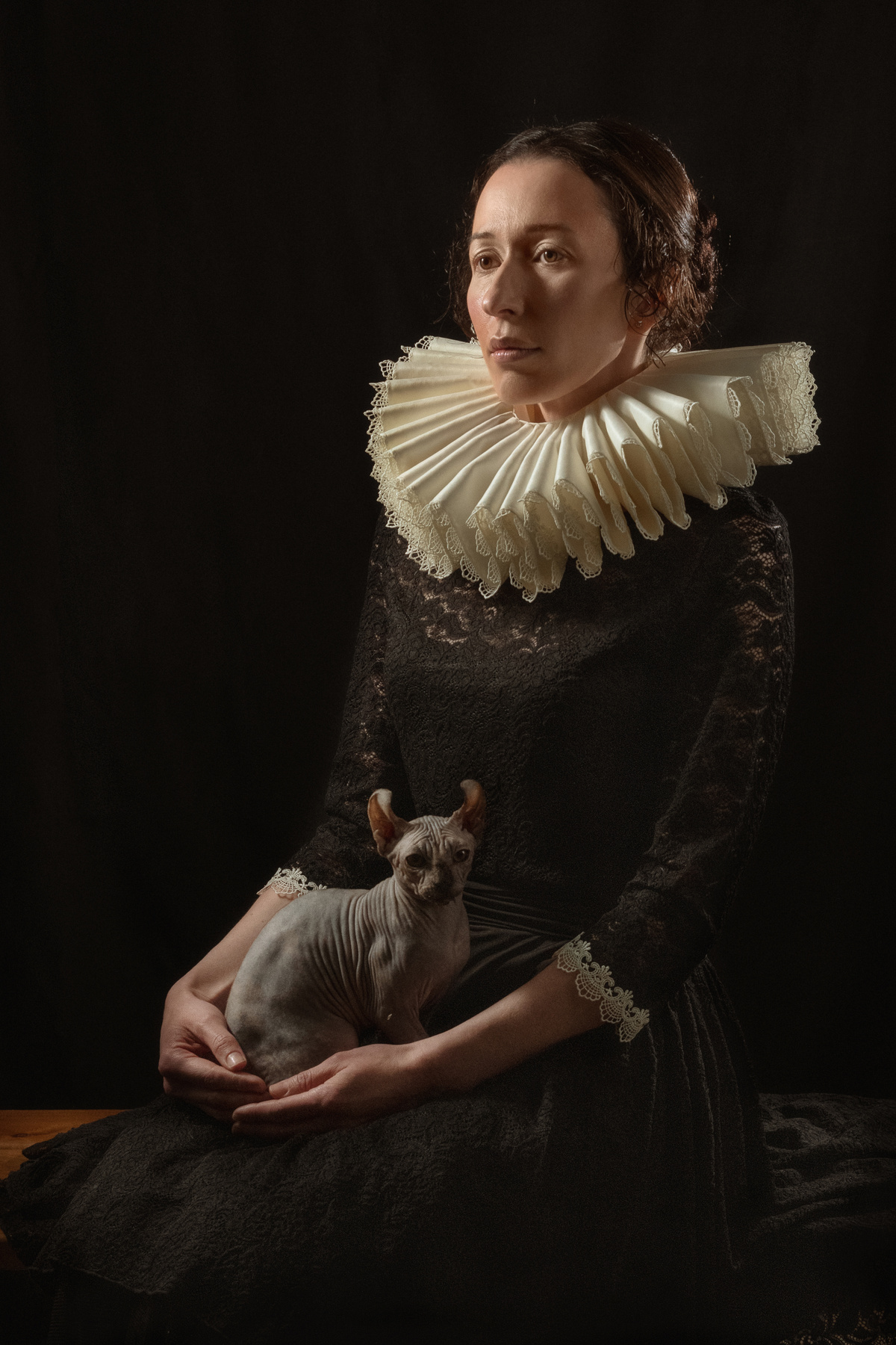 Дама с кошкой портрет ренессанс сфинкс кот