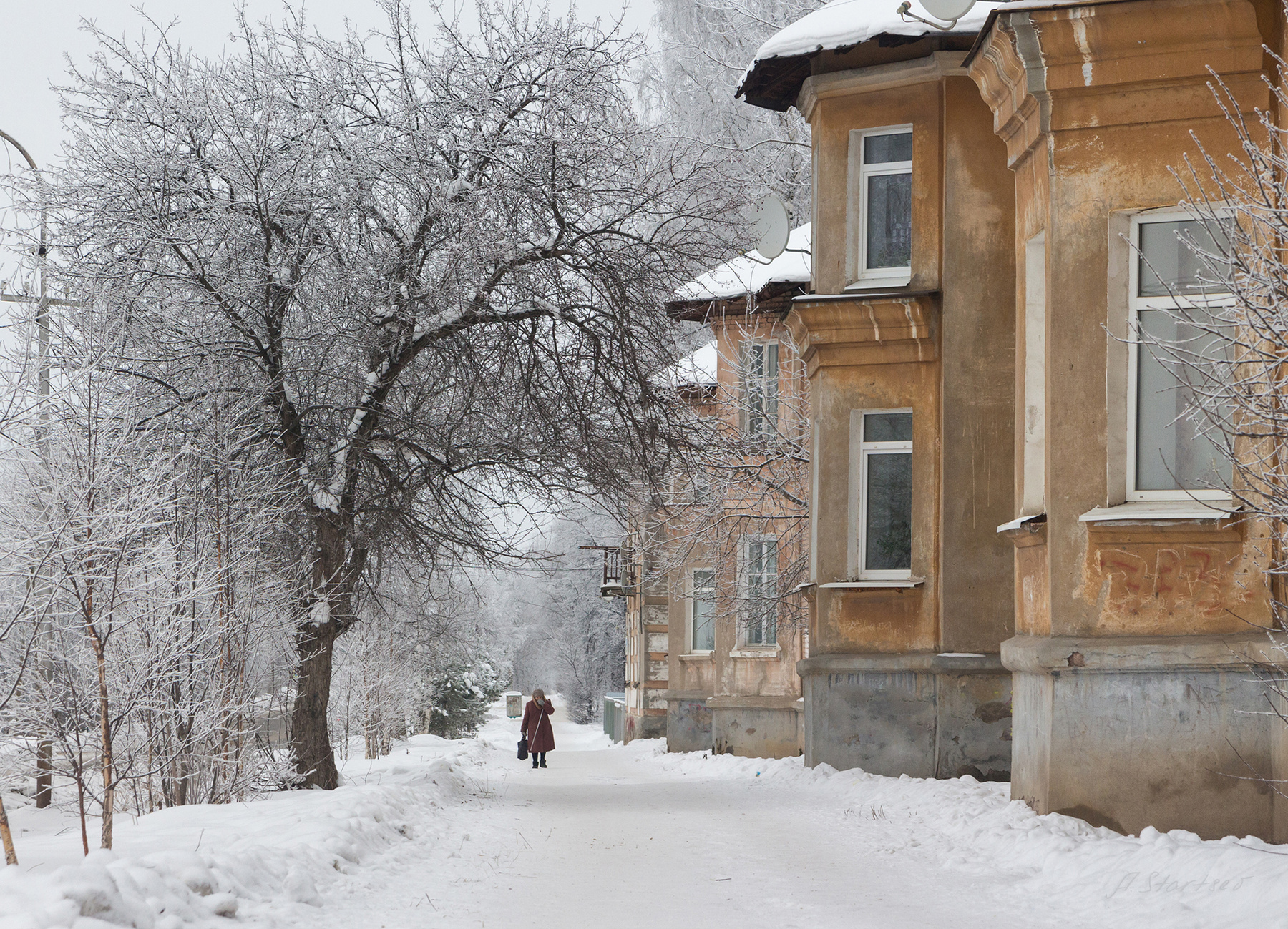Снежная улица улица зима снег пейзаж город иней Пермский_край Лысьва