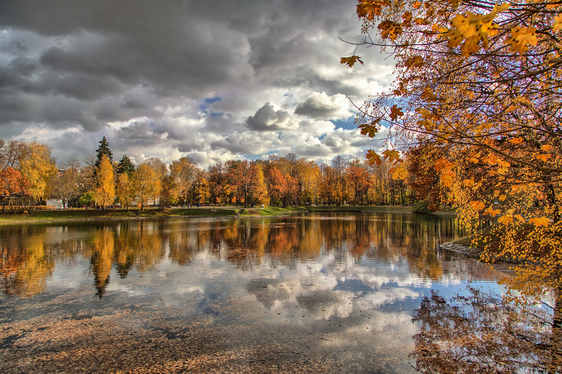 Парковый пруд. пруд пейзаж останкино осень