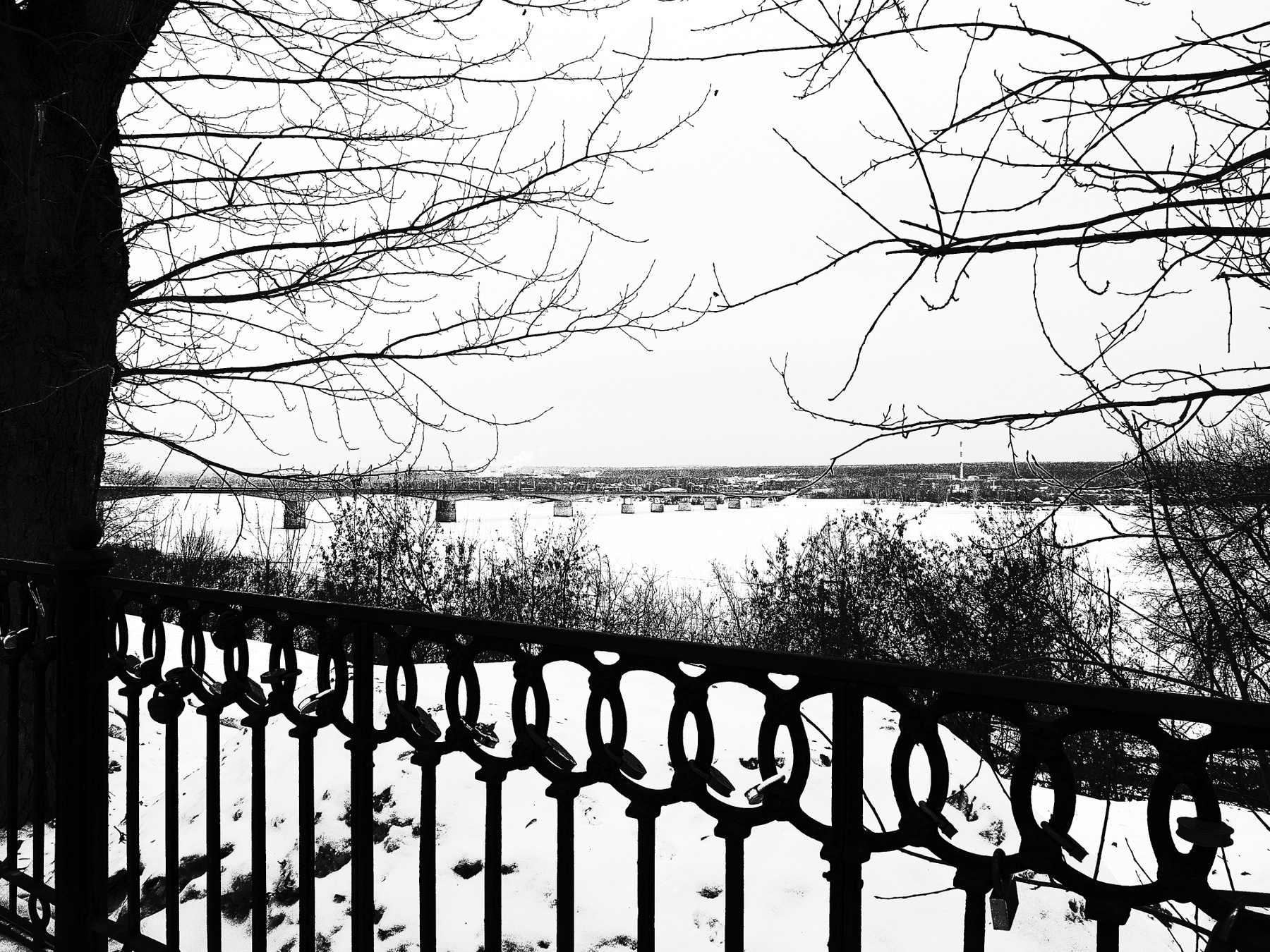 Вид на Каму город Пермь зима Кама Камский мост чугунная ограда ветки снег графика Шварц