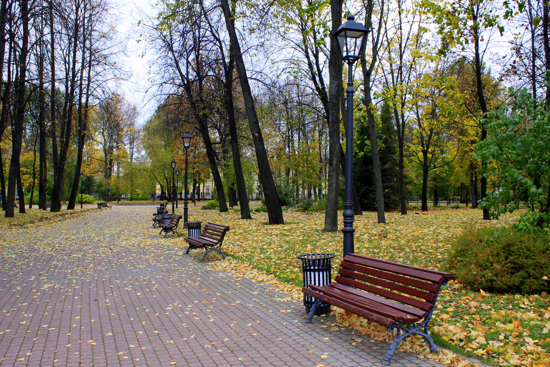 Городской парк парк осень листья