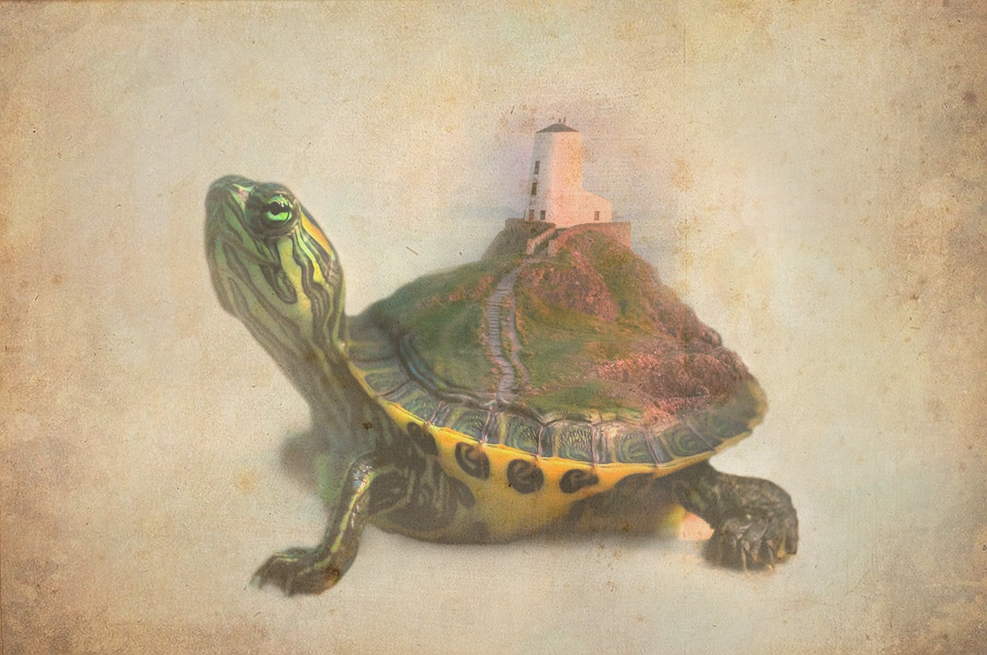Иллюзия иллюзия природа черепаха маяк фантазия