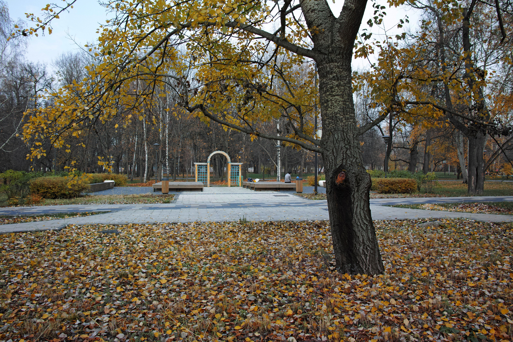 Сад будущего город Москва парк Сад будущего