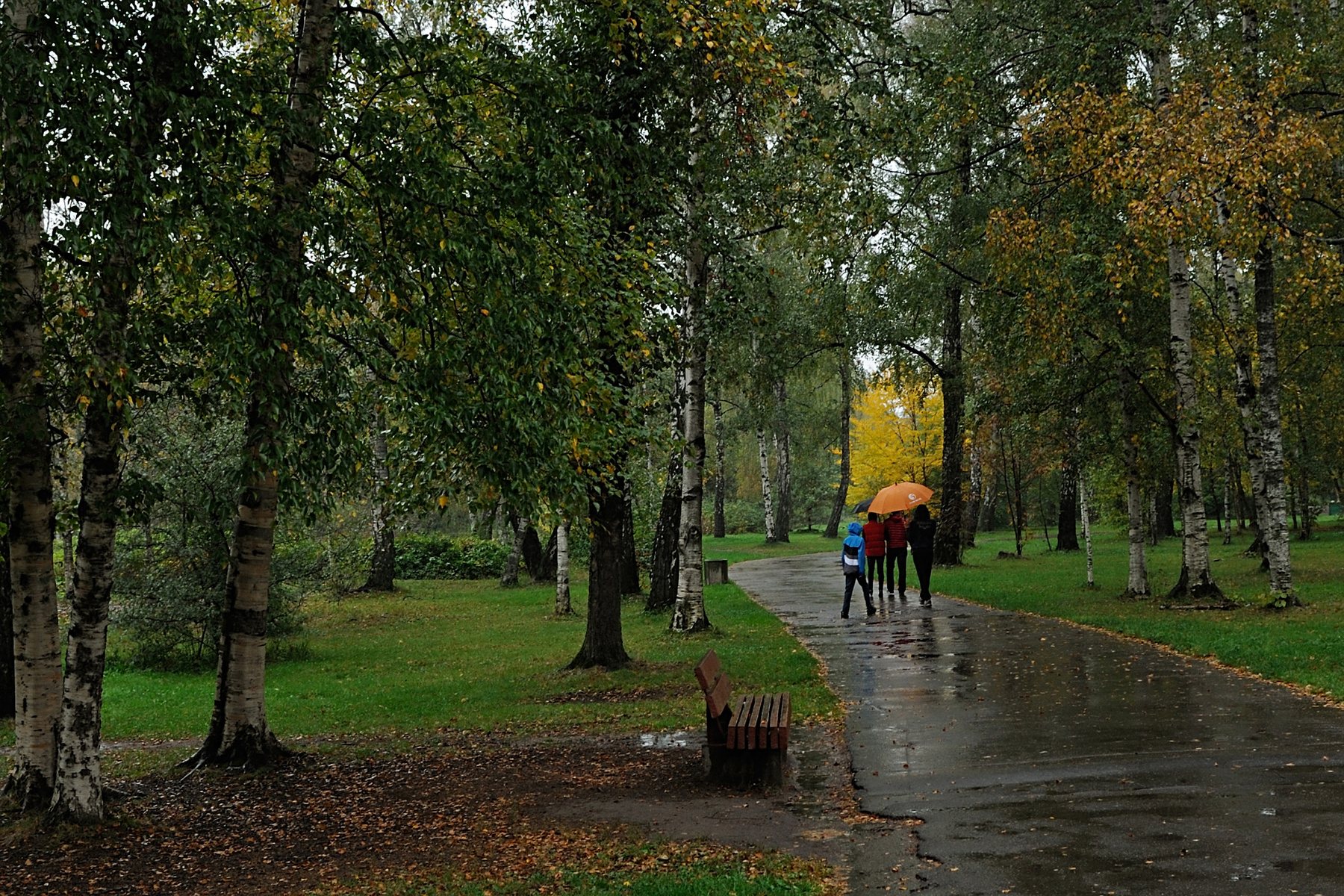 Осенние зарисовки Москва ботанический сад осень