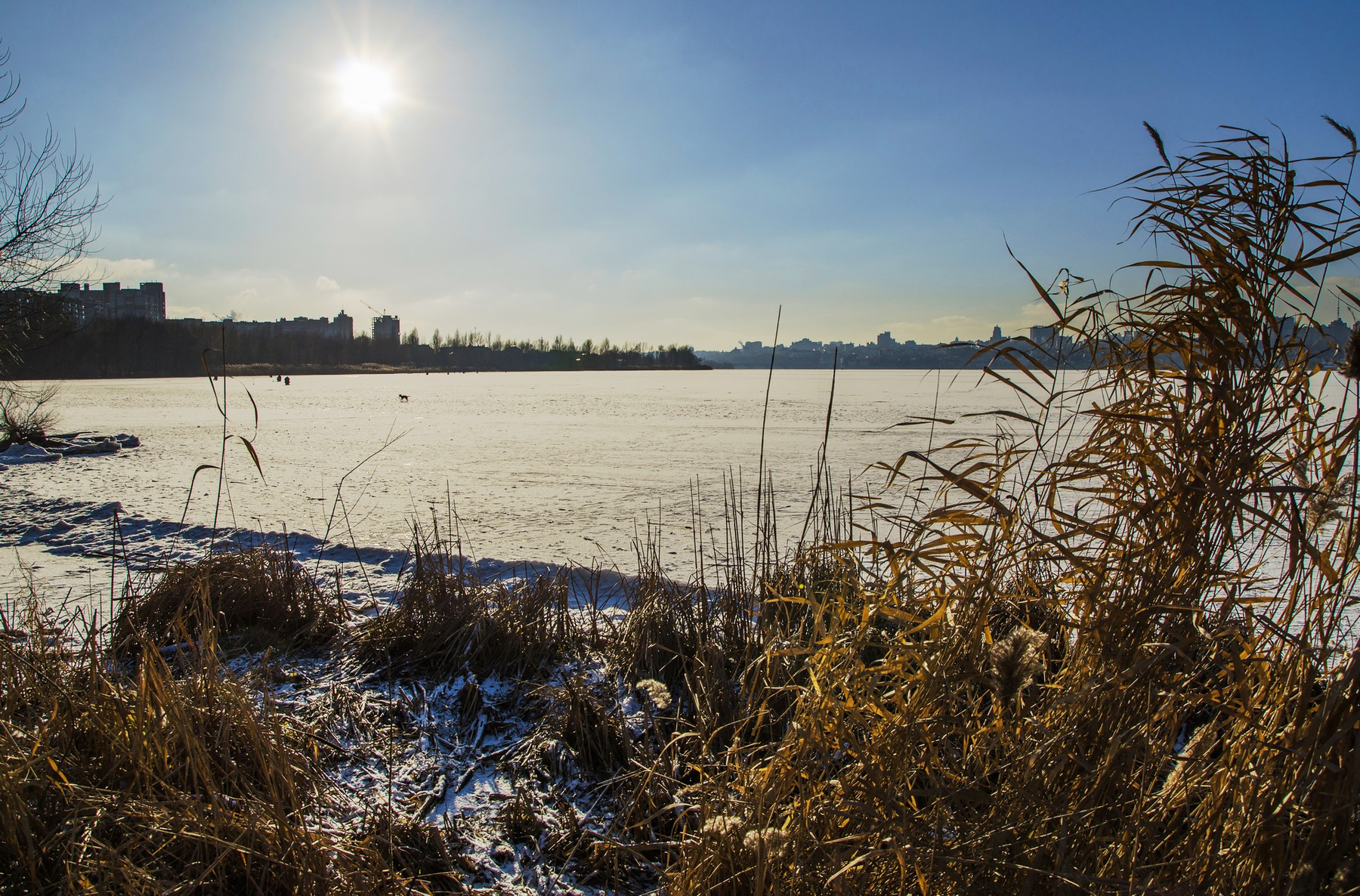 Мороз без снега мороз Воронеж водохранилище лед солнце зима