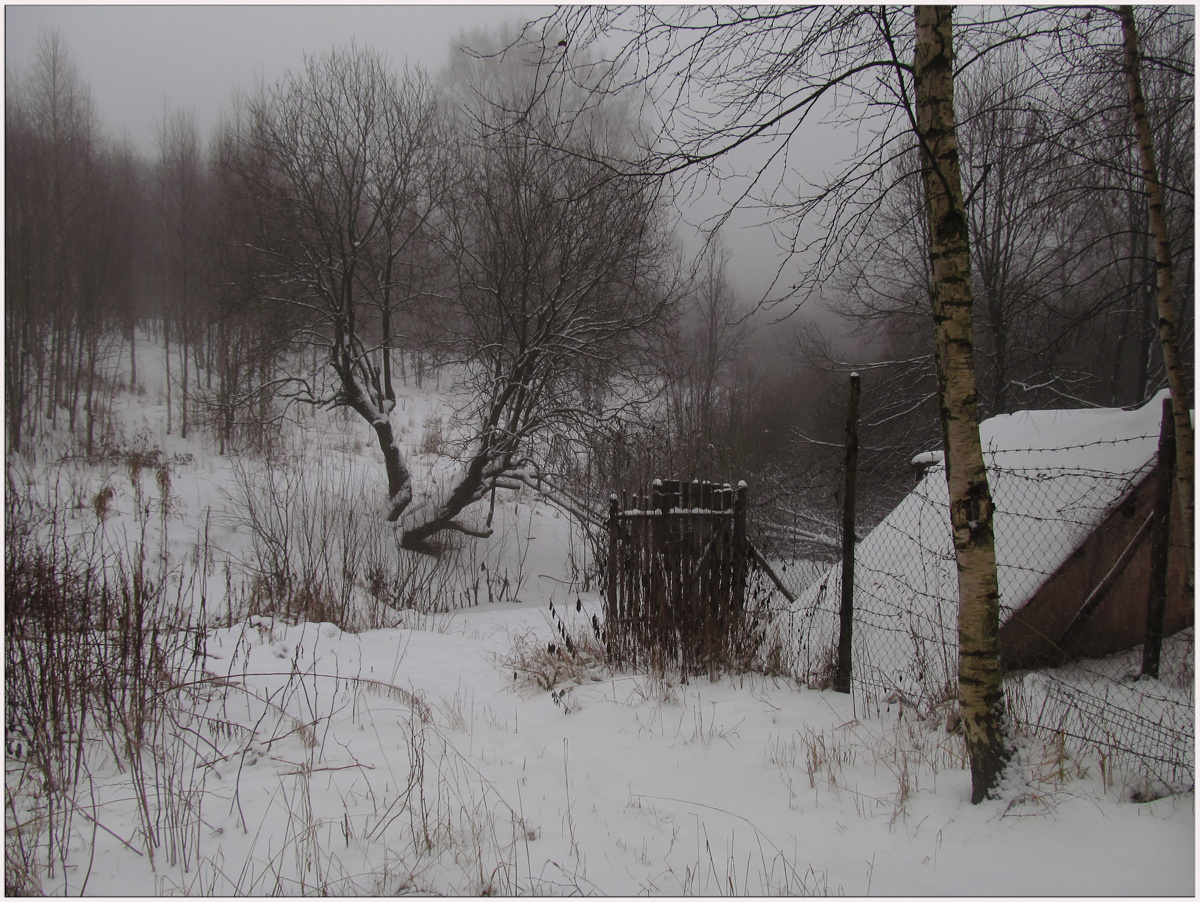 Снежная тайна Туман зимние зарисовки пейзаж