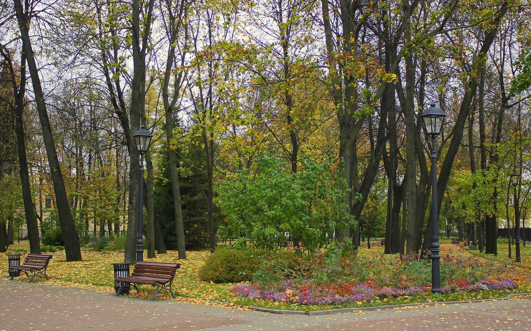 Городской осенний парк парк осень листья