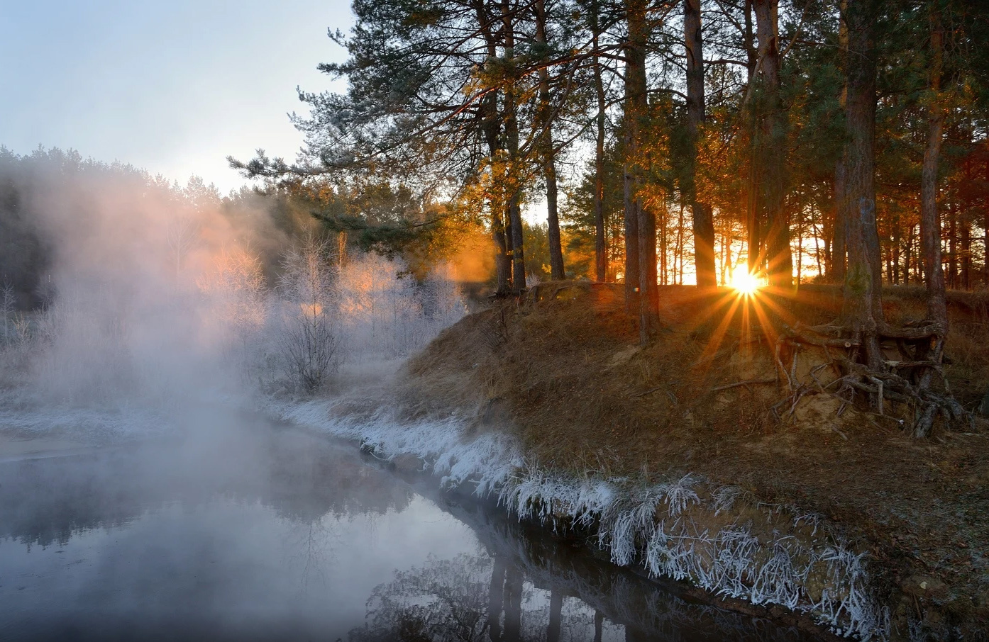 Лёд и пламя рассвет пейзаж утро туман деревья