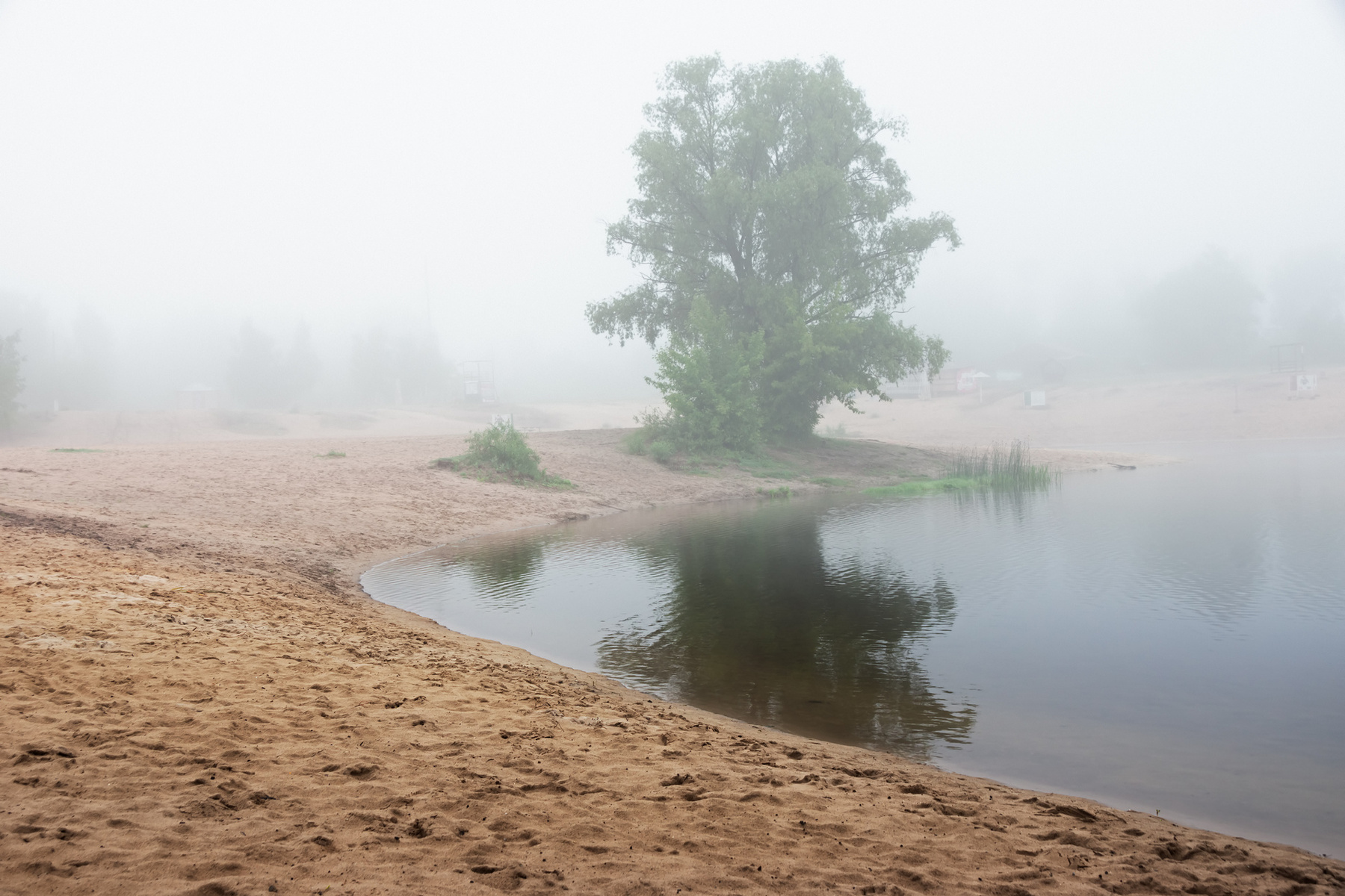 Утренняя тишина пейзаж природа утро туман пляж река Усманка тишина дерево Воронеж