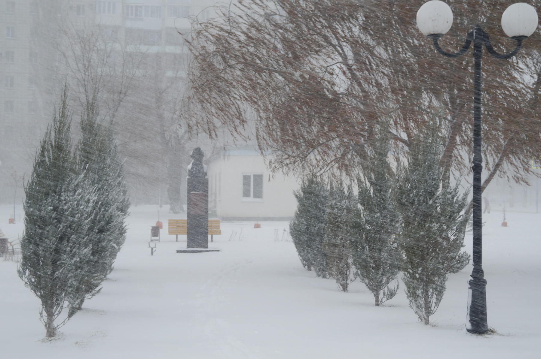 В Волгоград наконец-то пришла зима! зима Волгоград сквер снегопад