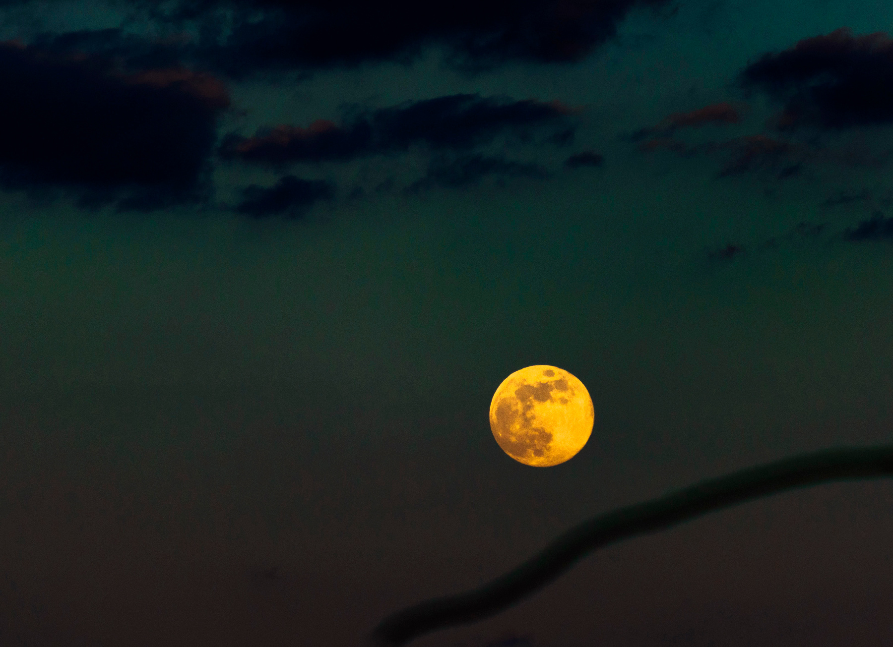 Полнолуние Луна ночь