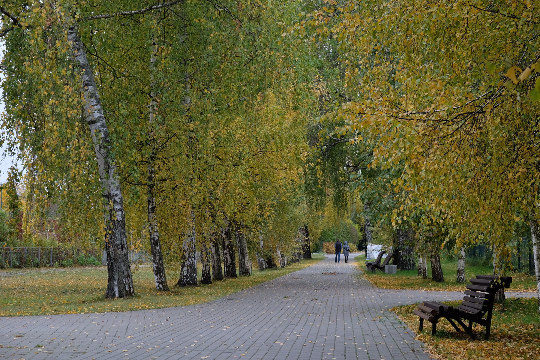 *** осень парк Минск